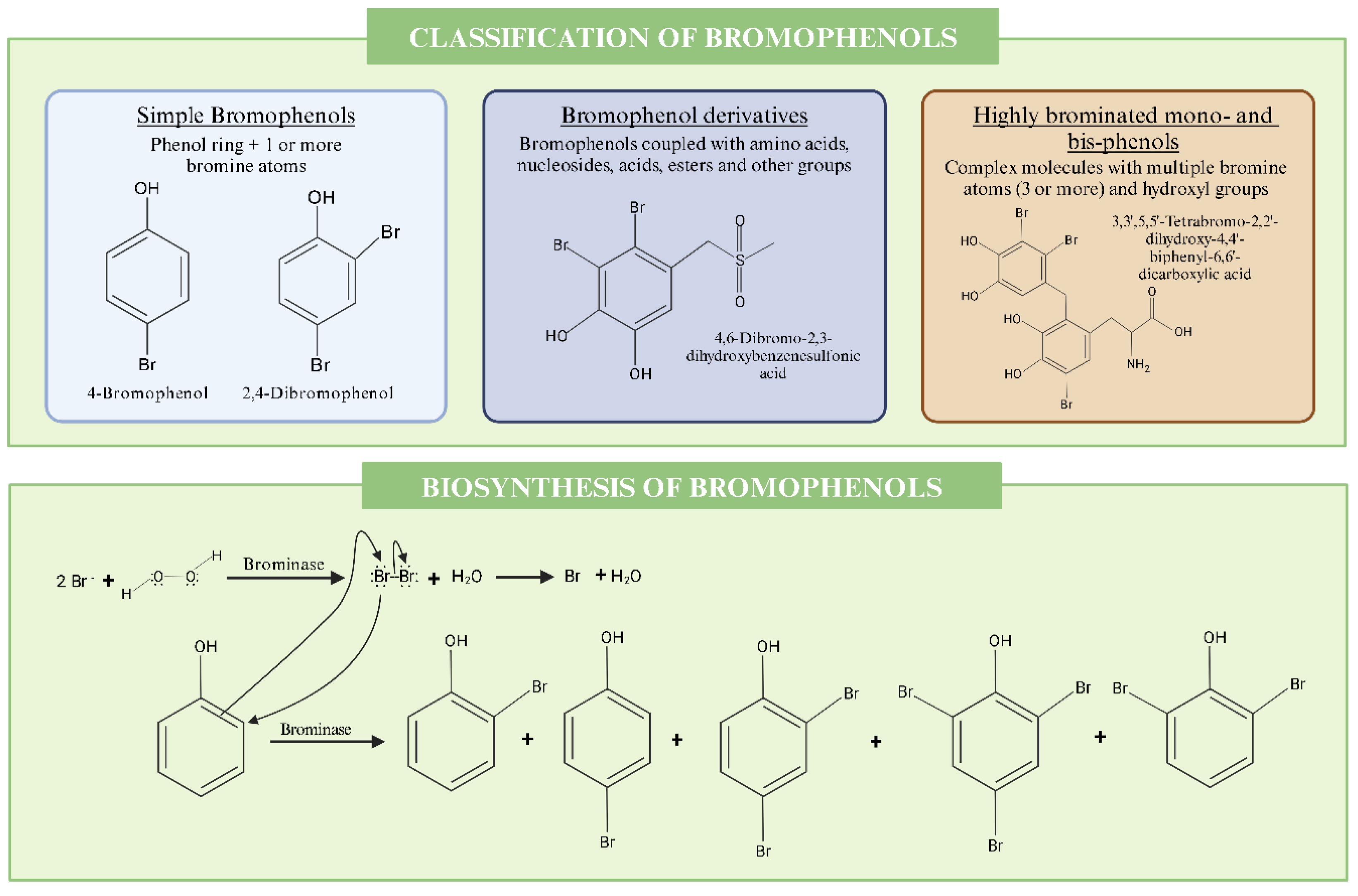 Marinedrugs 22 00478 g002