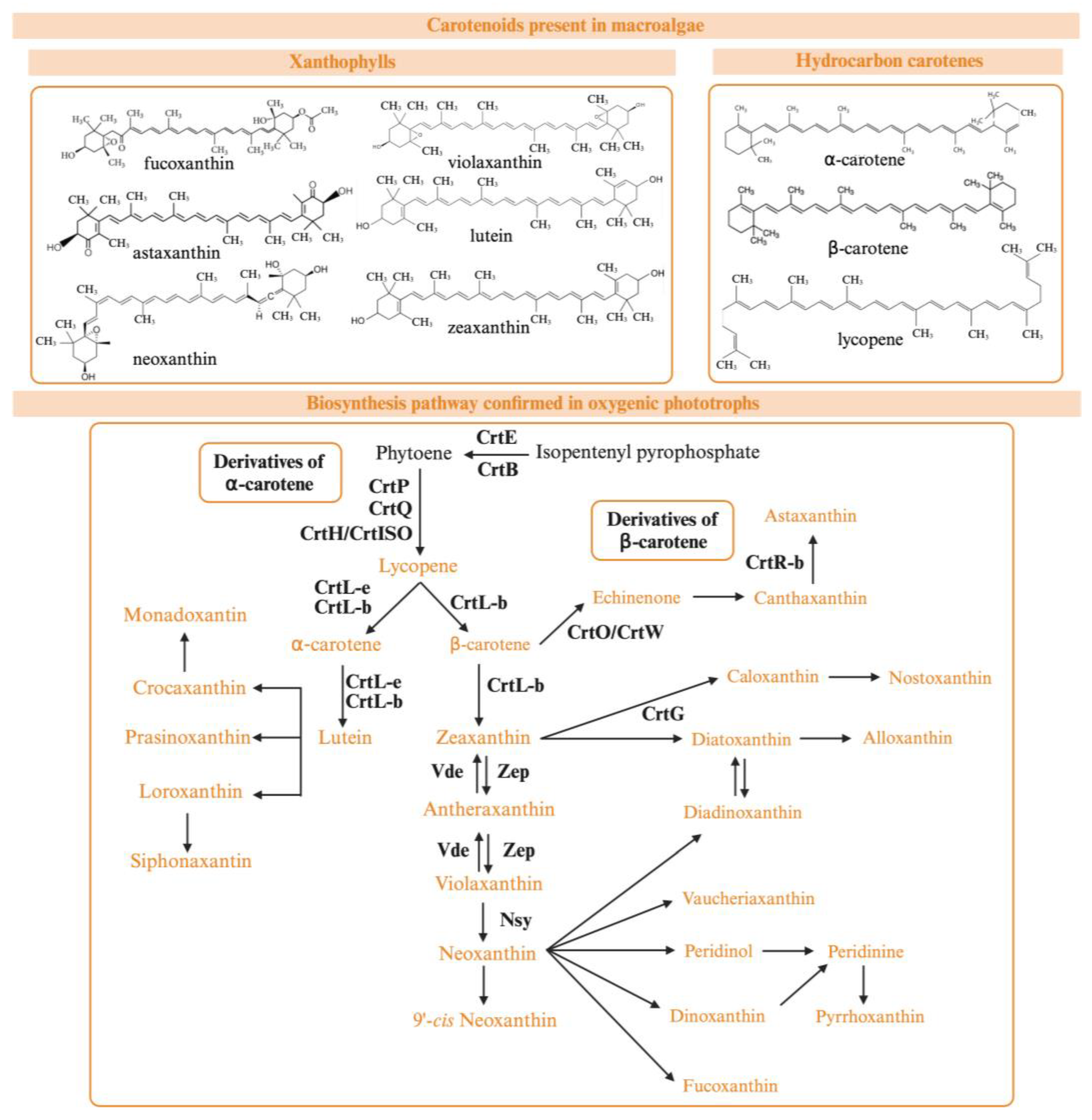 Marinedrugs 22 00478 g004