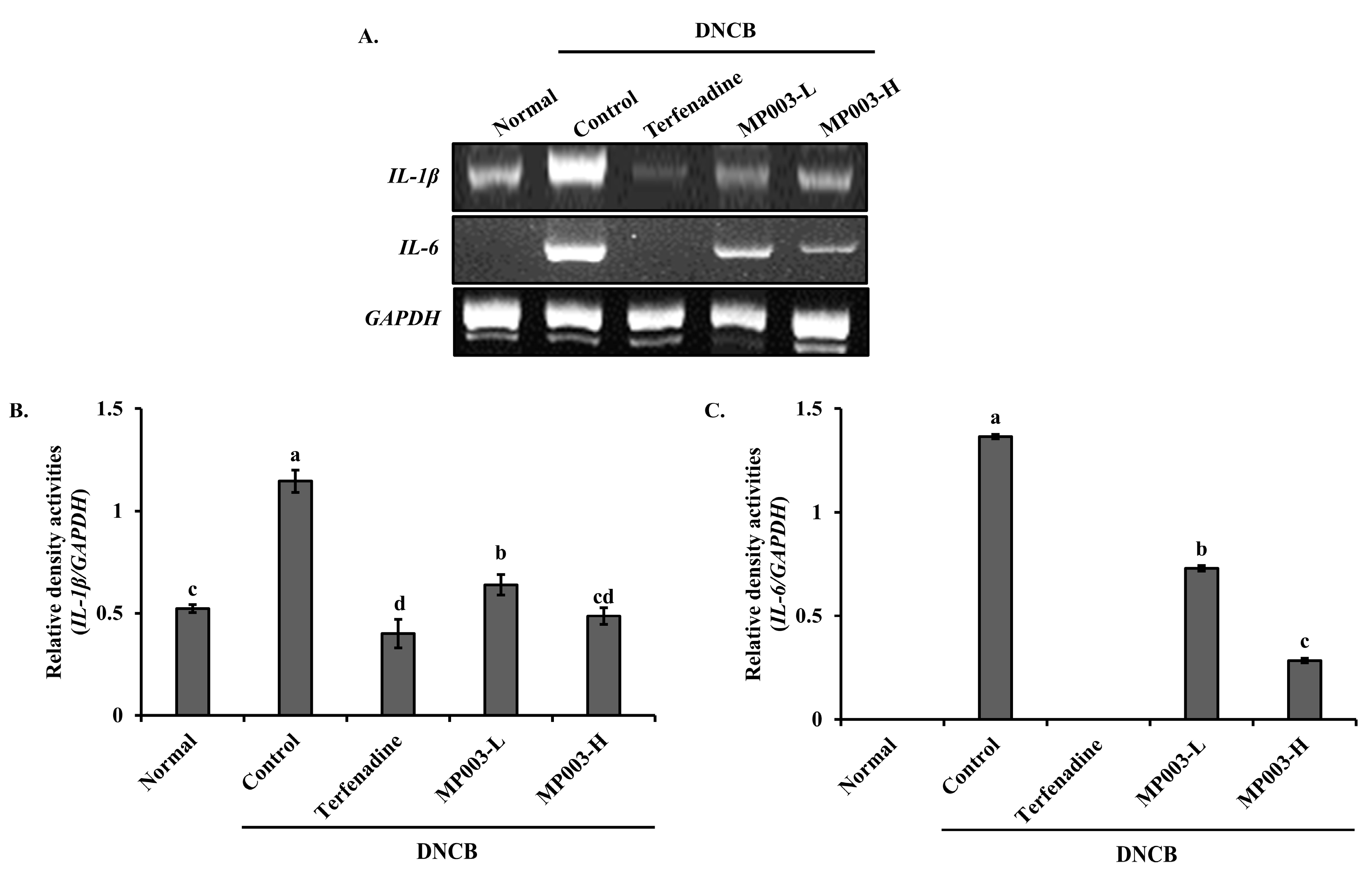 Marinedrugs 22 00479 g005
