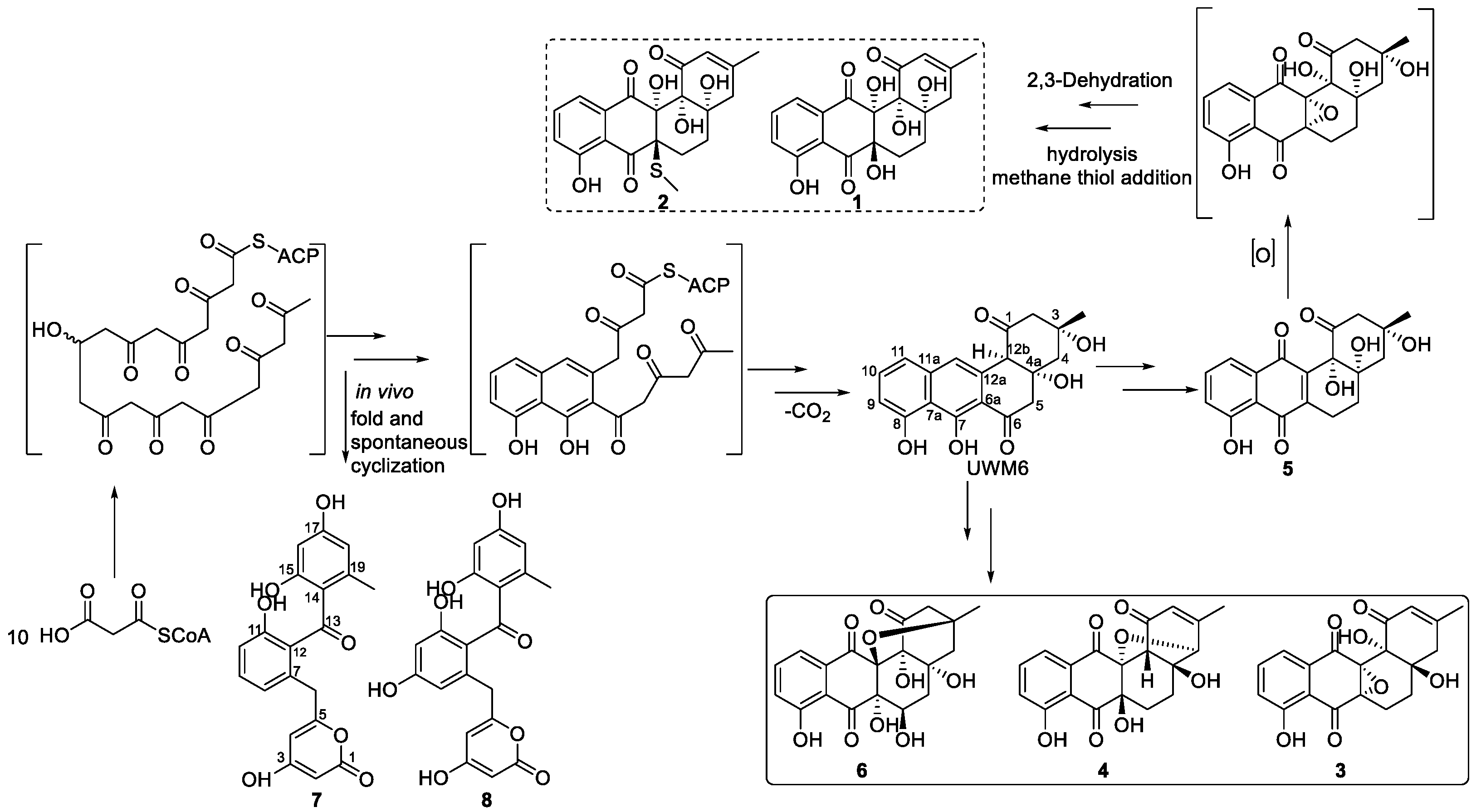 Marinedrugs 22 00480 sch001