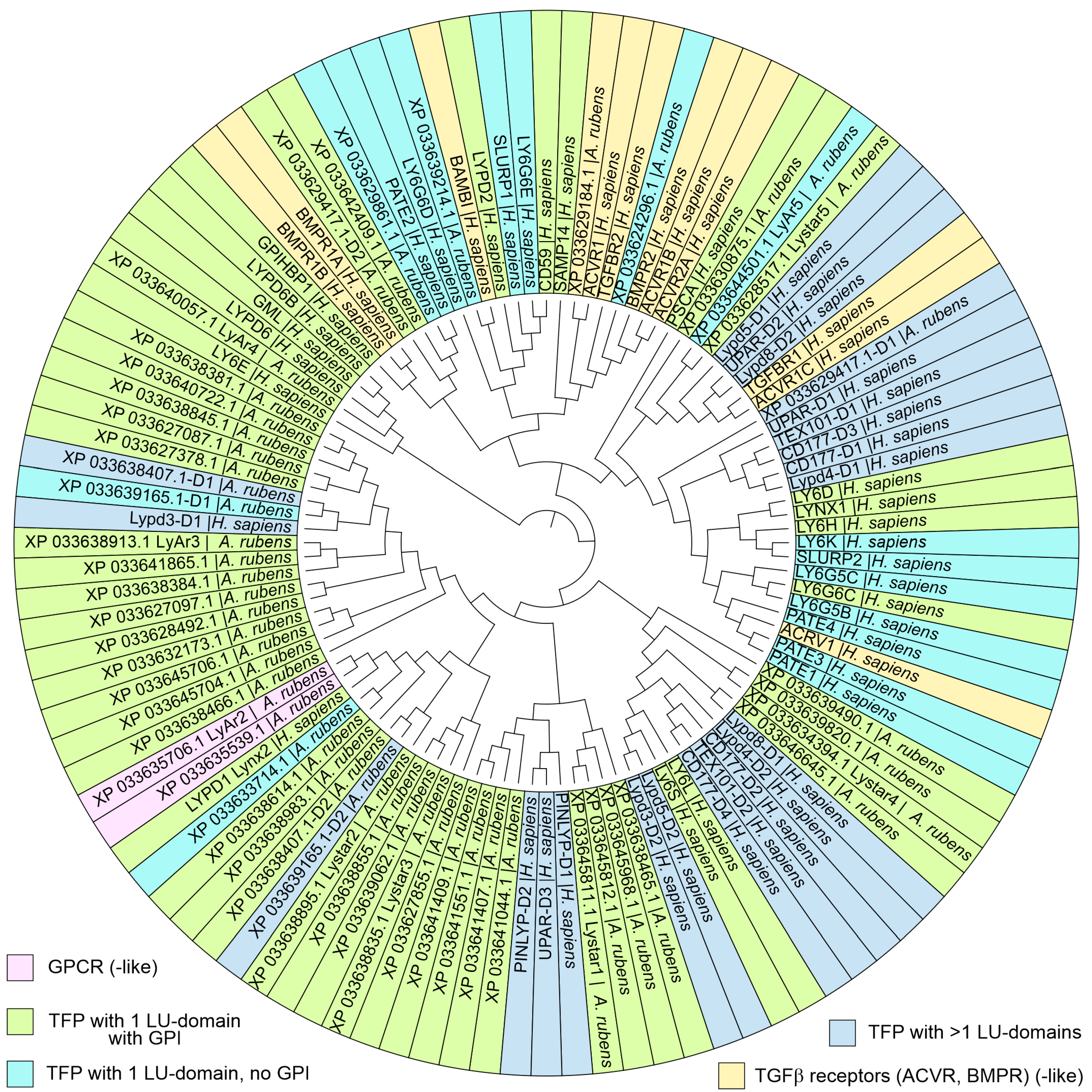 Marinedrugs 22 00488 g002