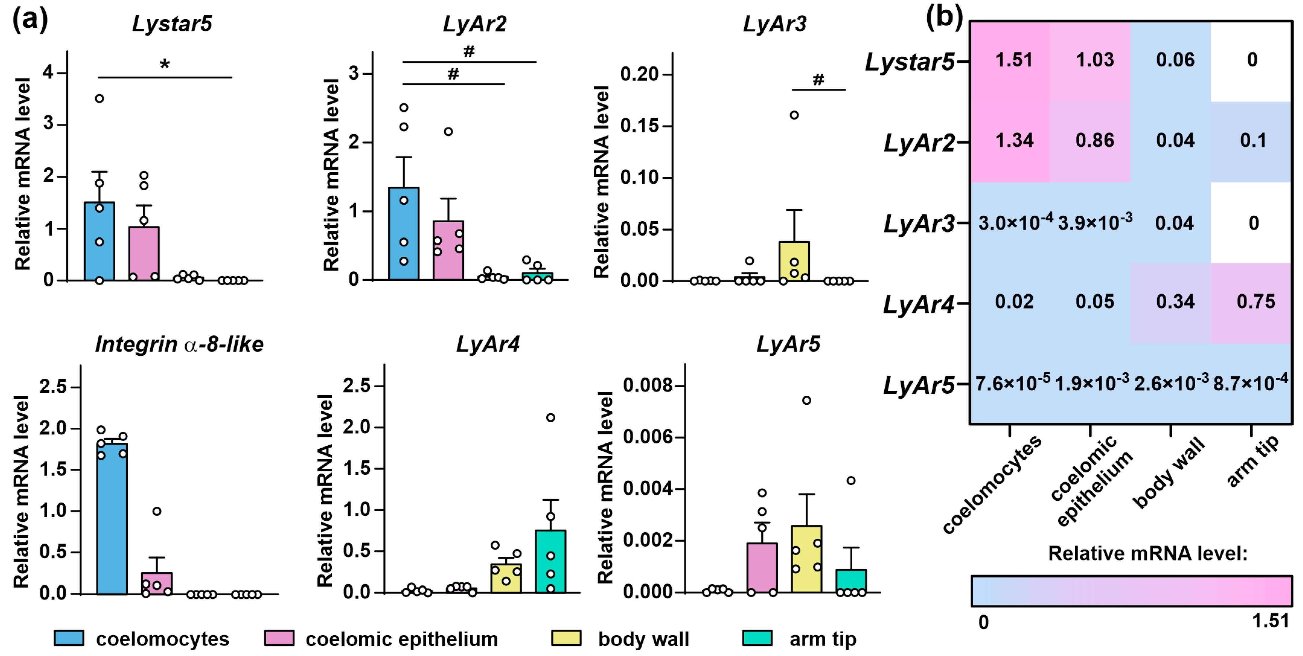 Marinedrugs 22 00488 g004