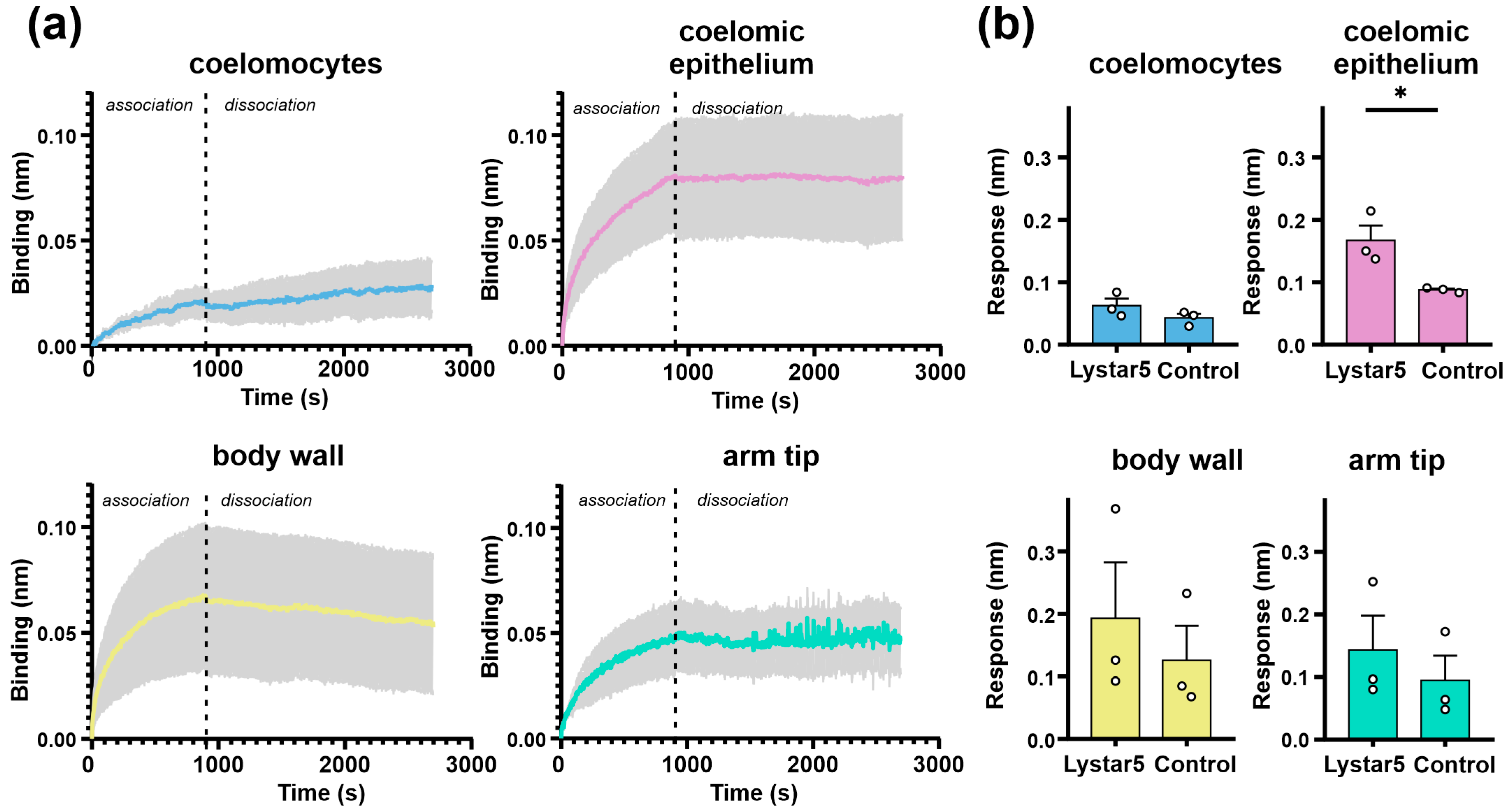 Marinedrugs 22 00488 g006