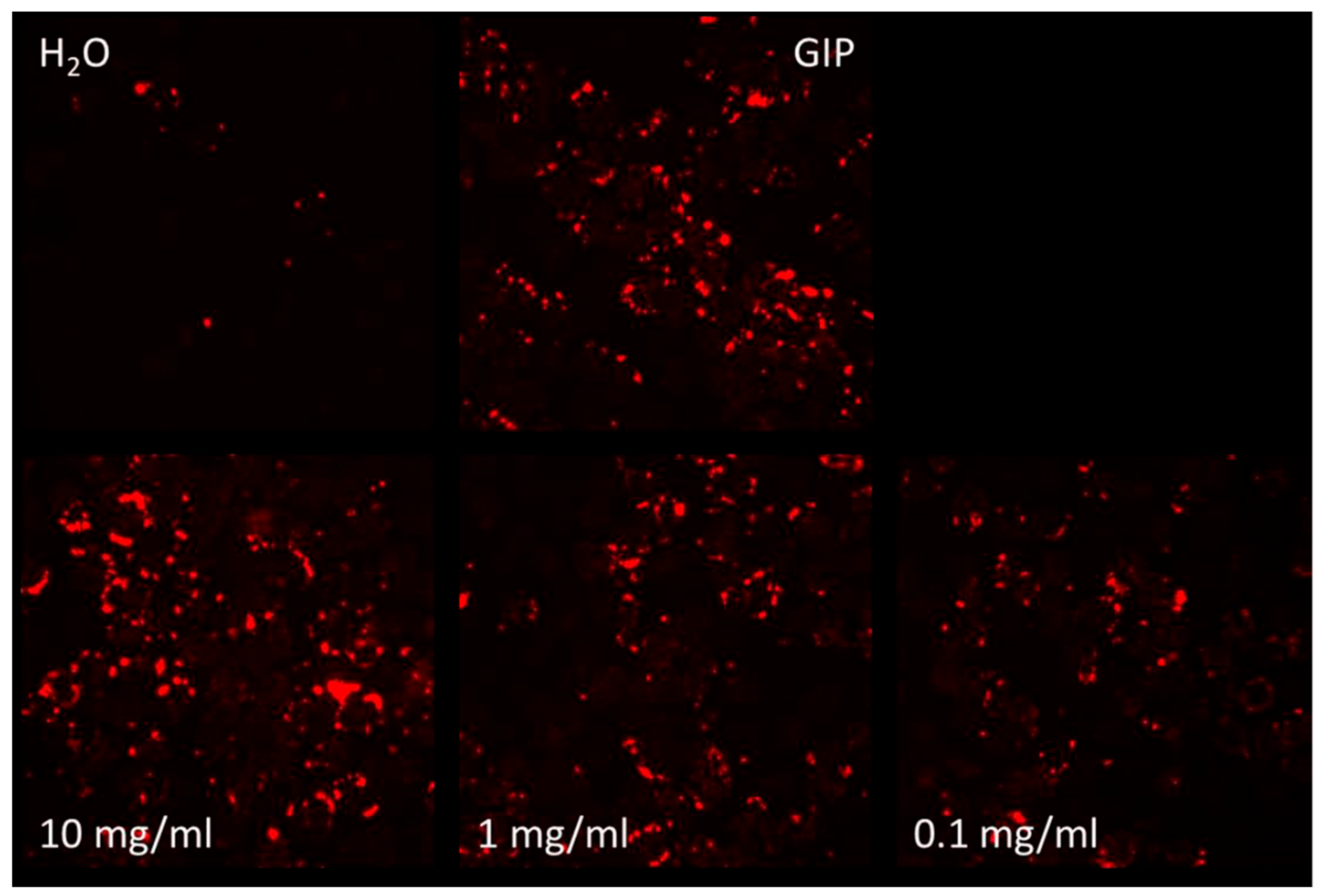 Marinedrugs 22 00490 g004