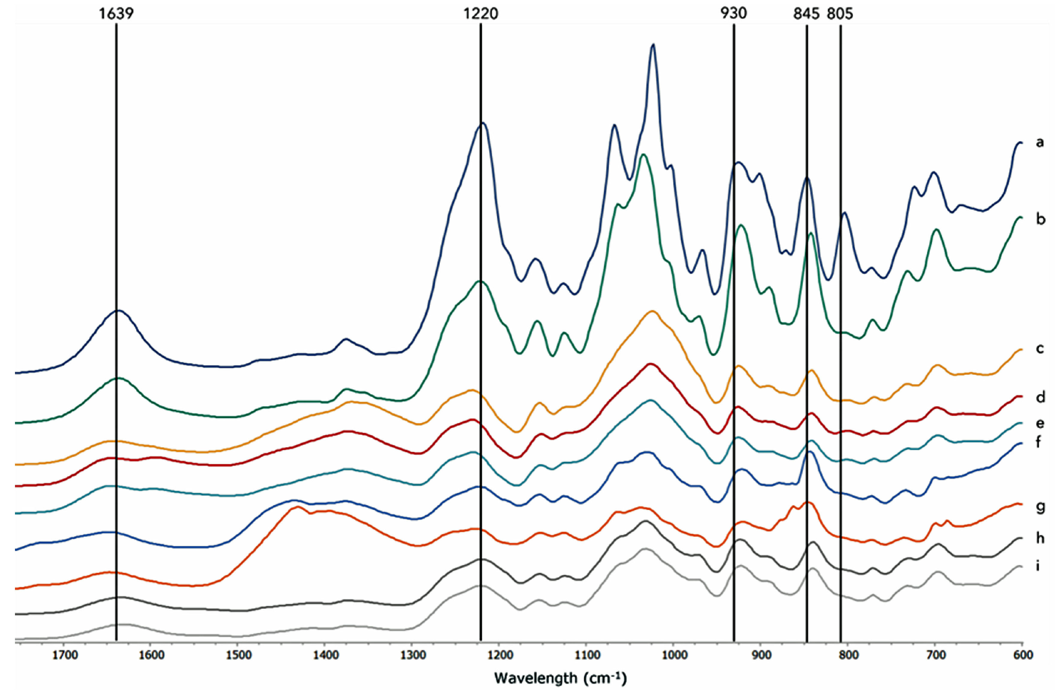 Marinedrugs 22 00491 g005