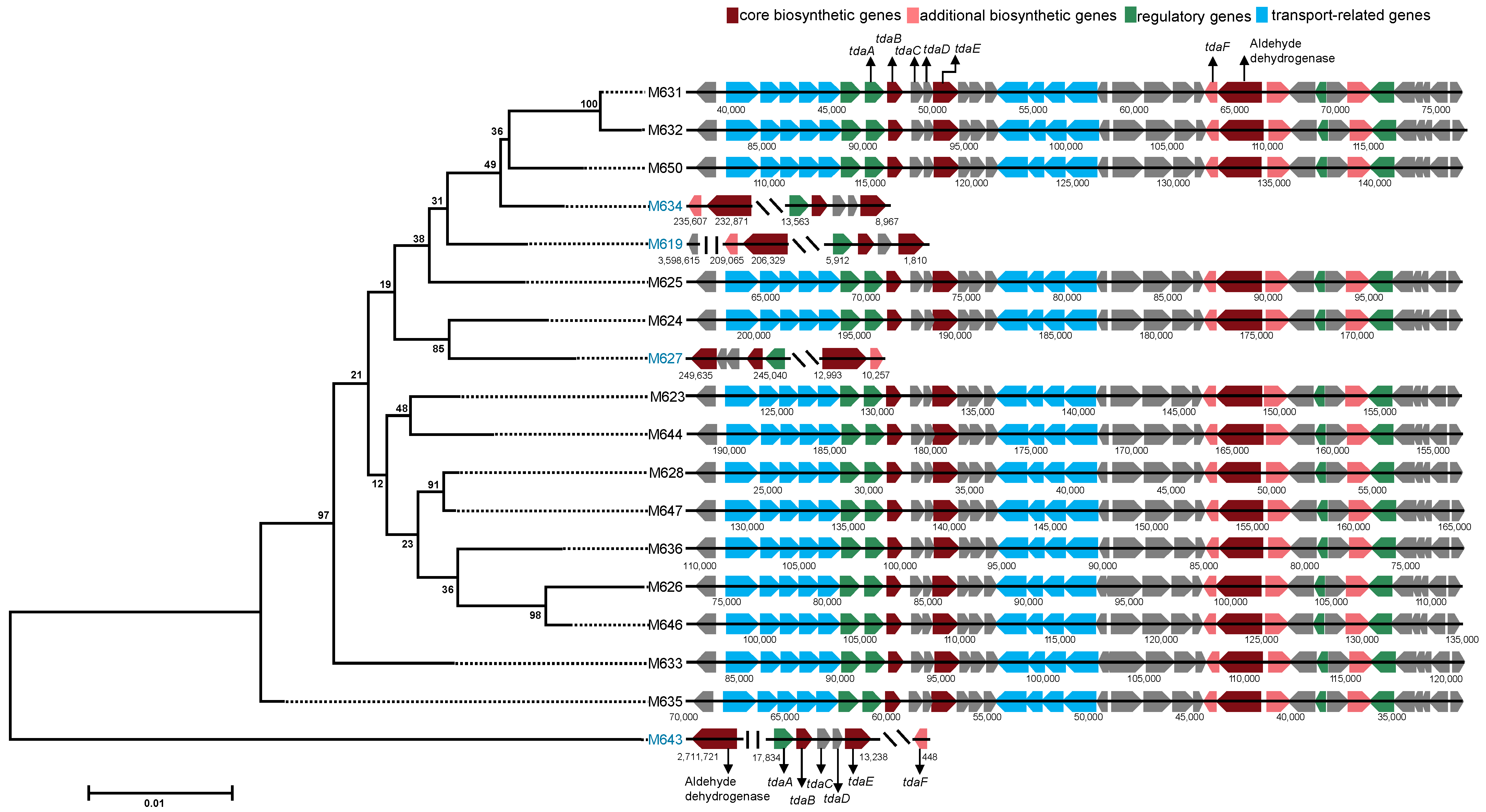 Marinedrugs 22 00492 g004