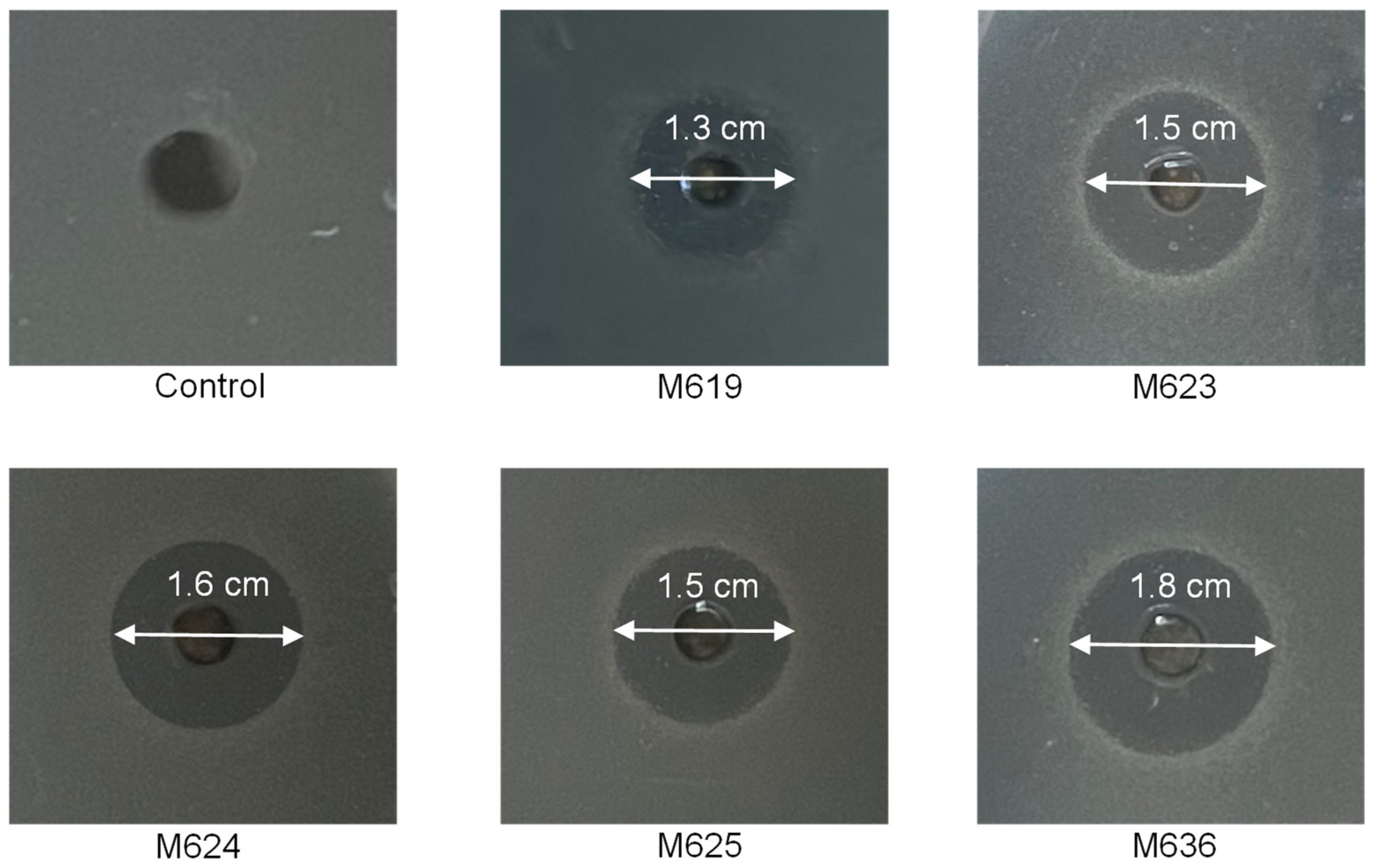 Marinedrugs 22 00492 g006