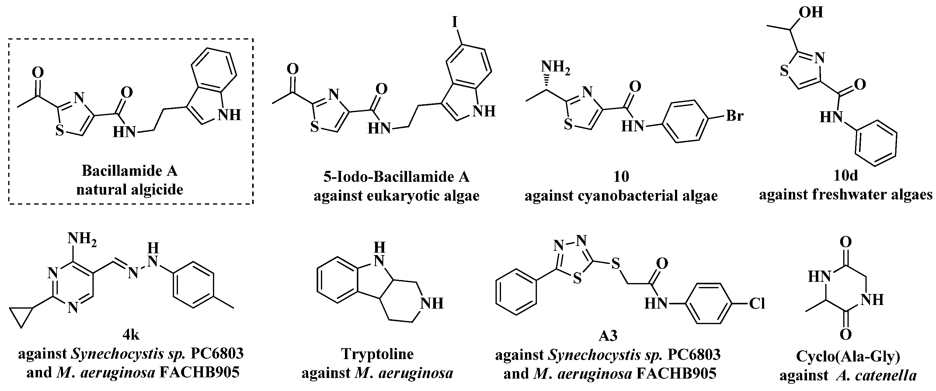 Marinedrugs 22 00494 g001