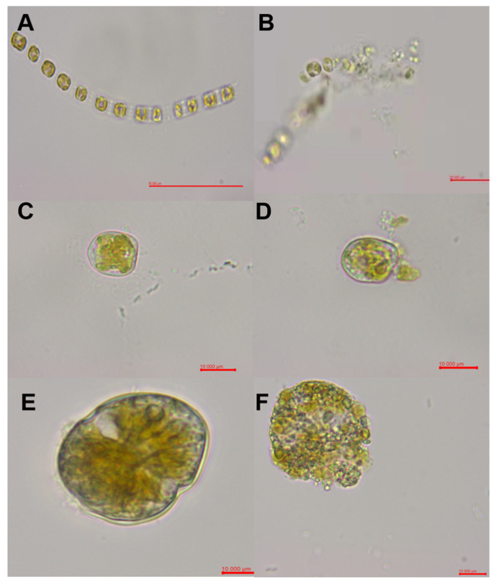 Marinedrugs 22 00494 g003