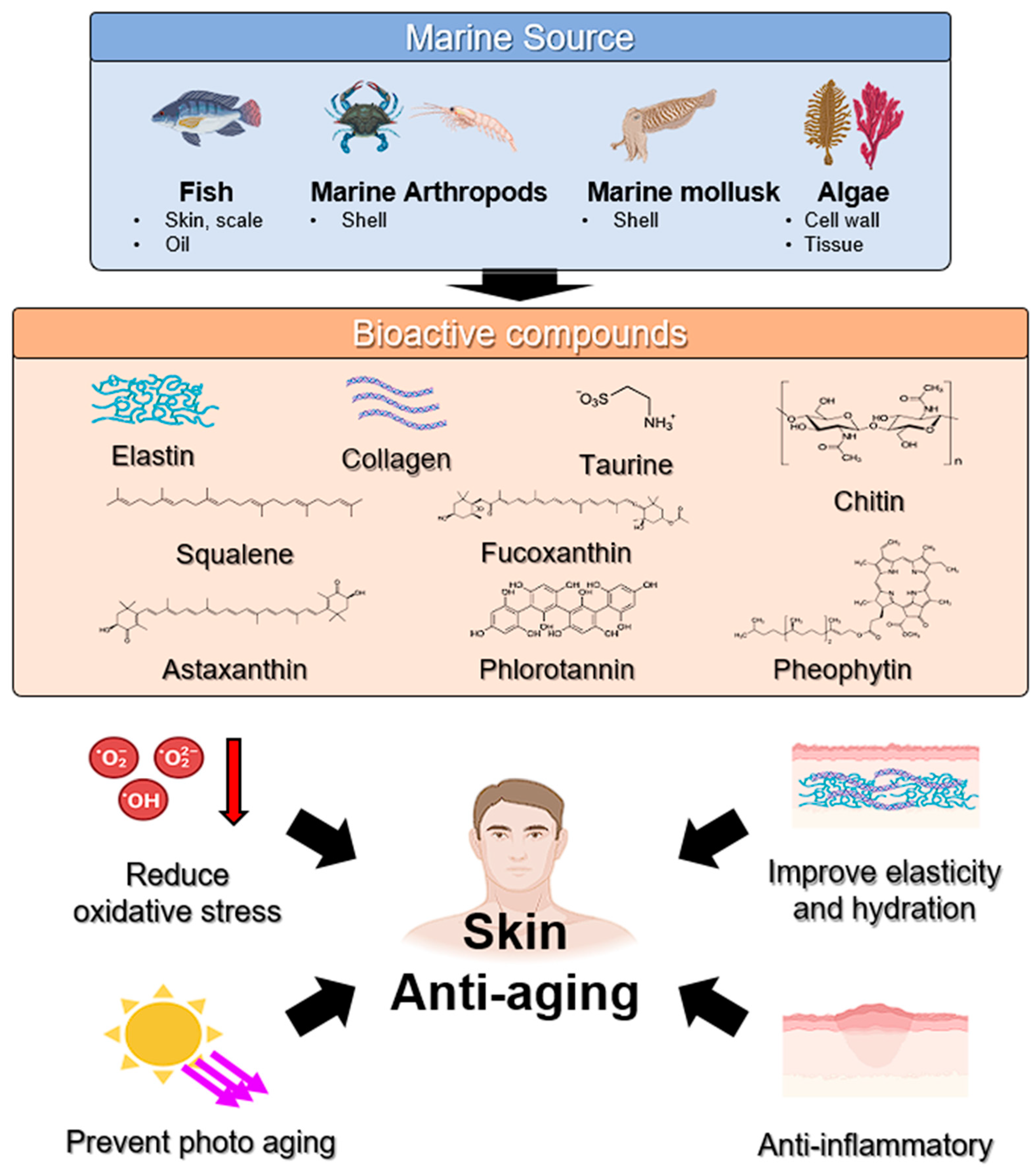 Marinedrugs 22 00496 g003