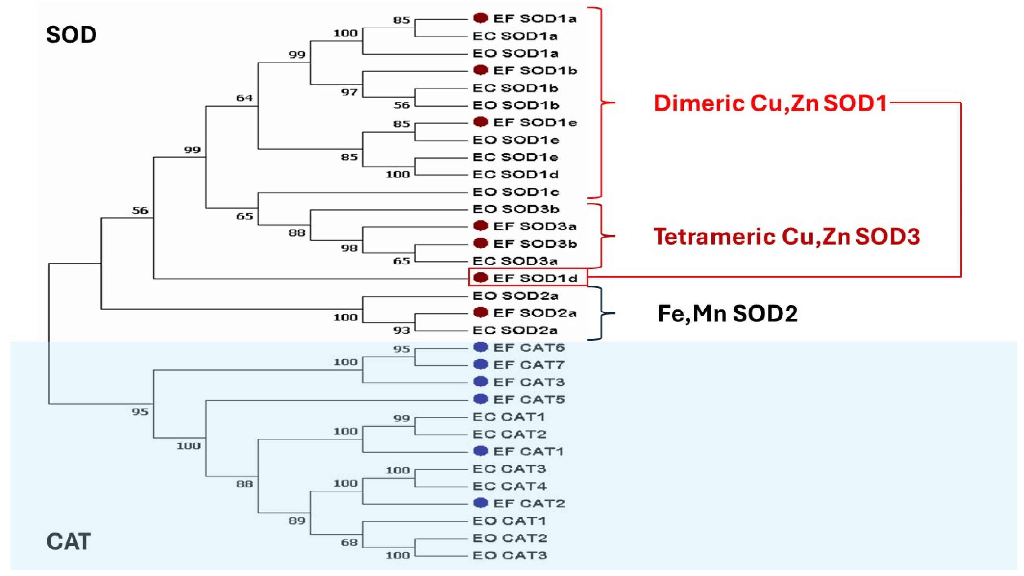 Marinedrugs 22 00497 g001