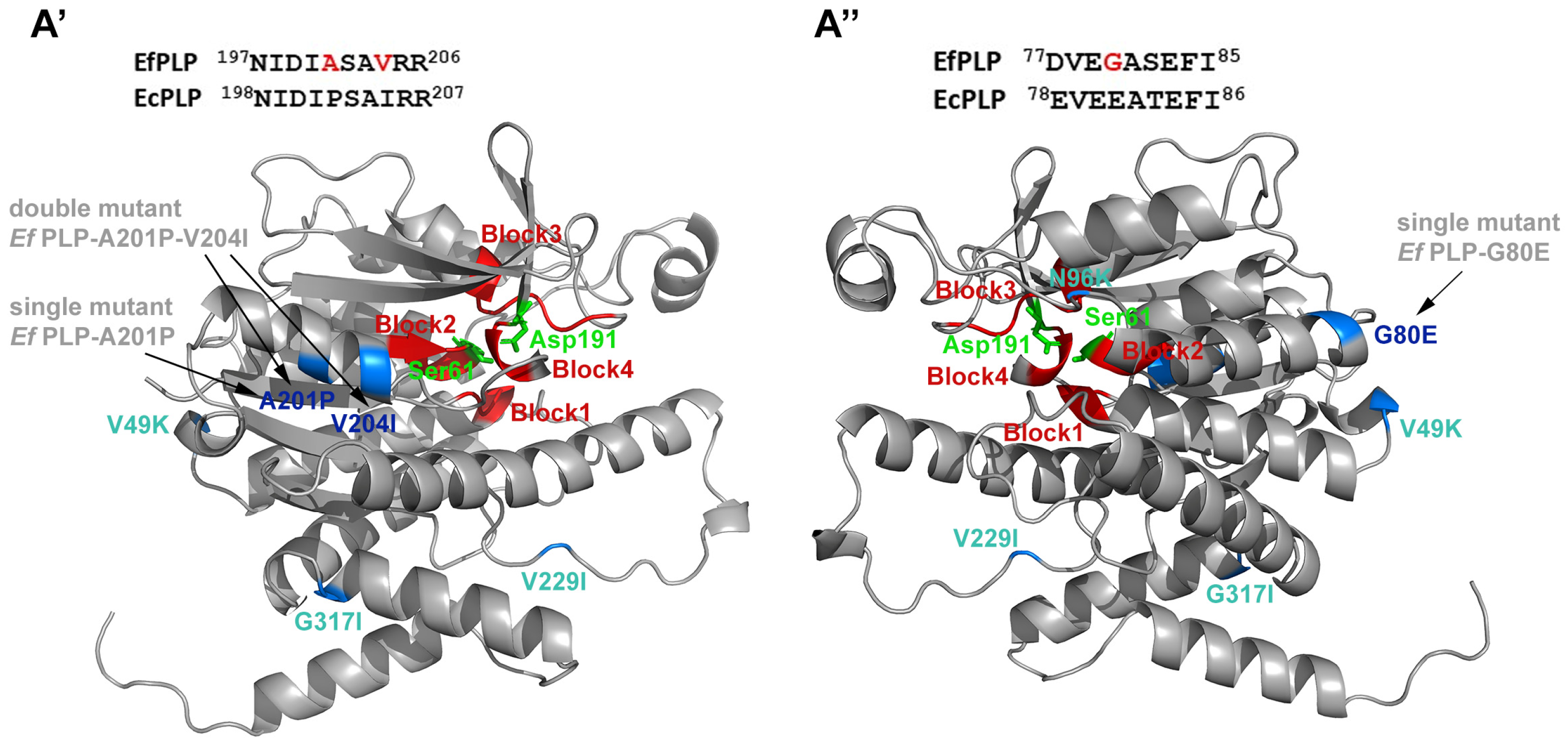 Marinedrugs 22 00497 g003