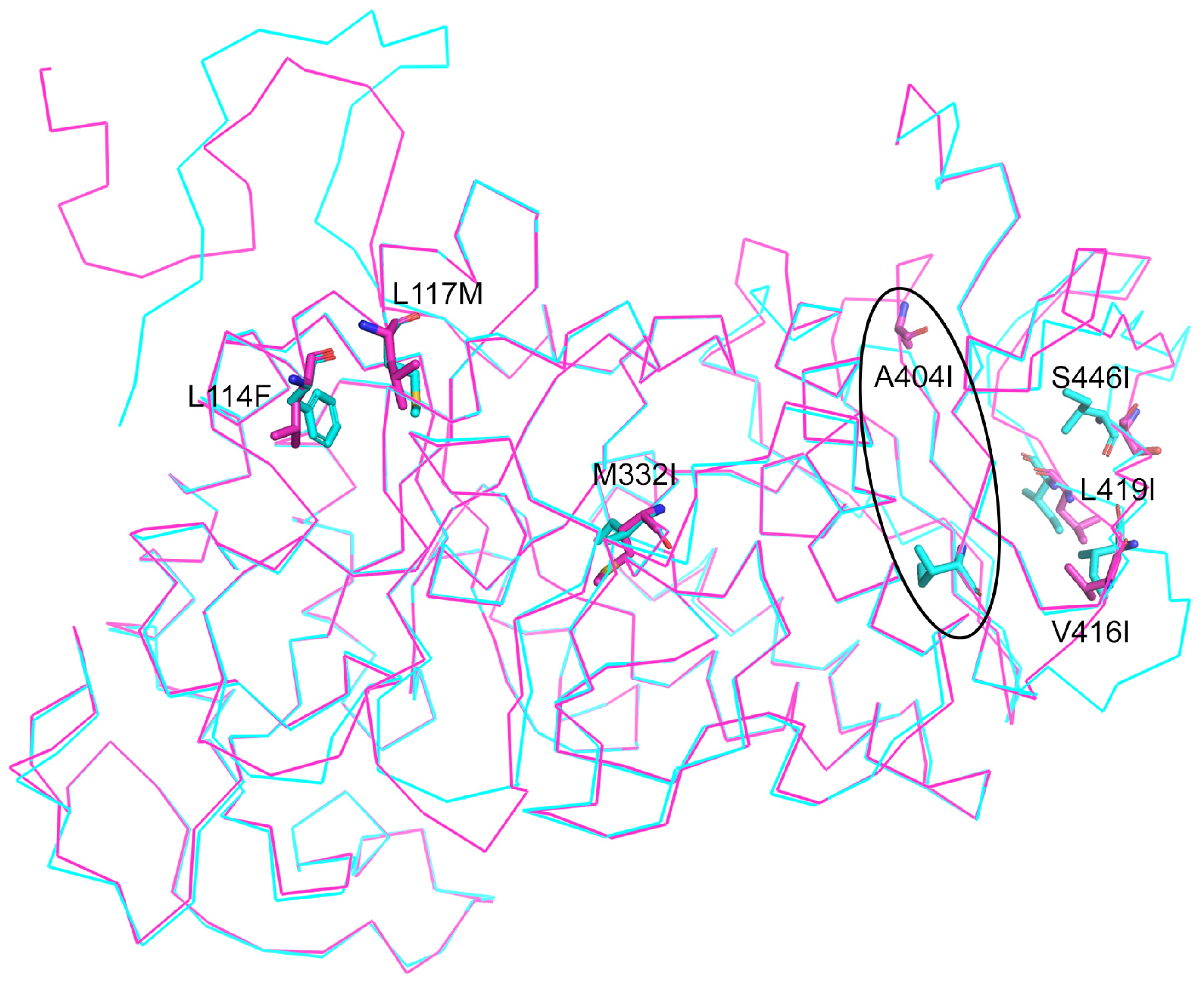 Marinedrugs 22 00497 g005