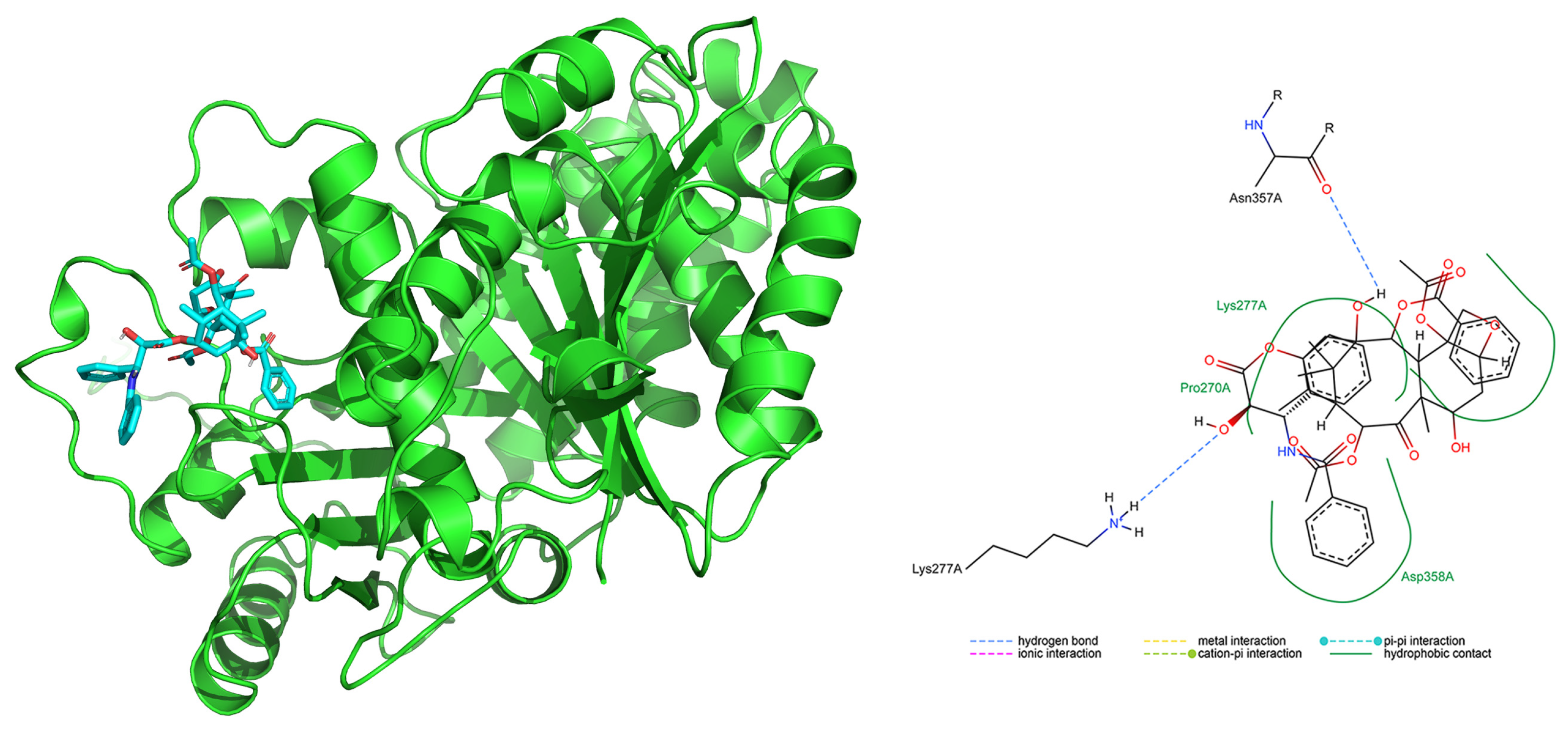Marinedrugs 22 00497 g007