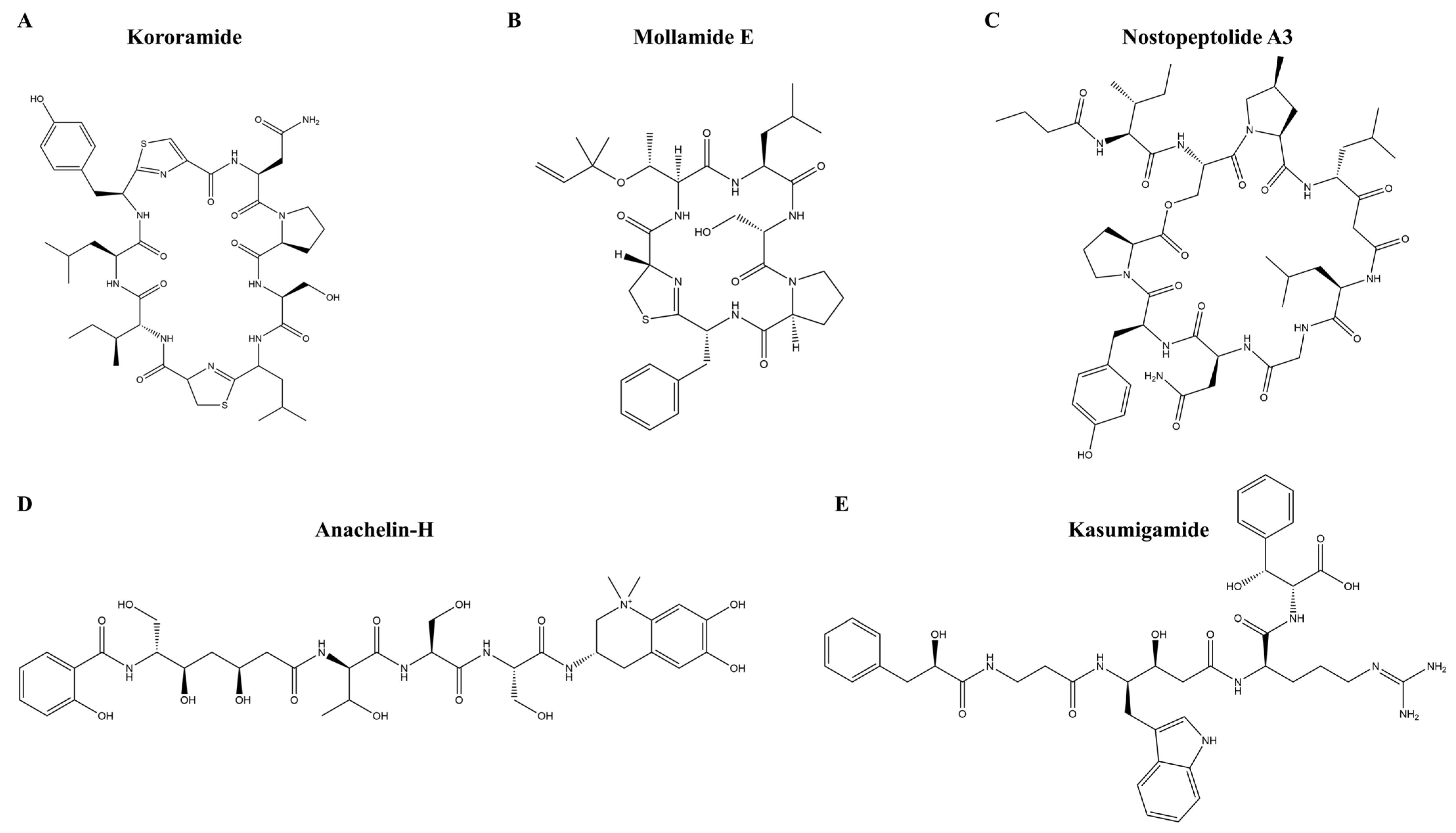 Marinedrugs 22 00501 g007