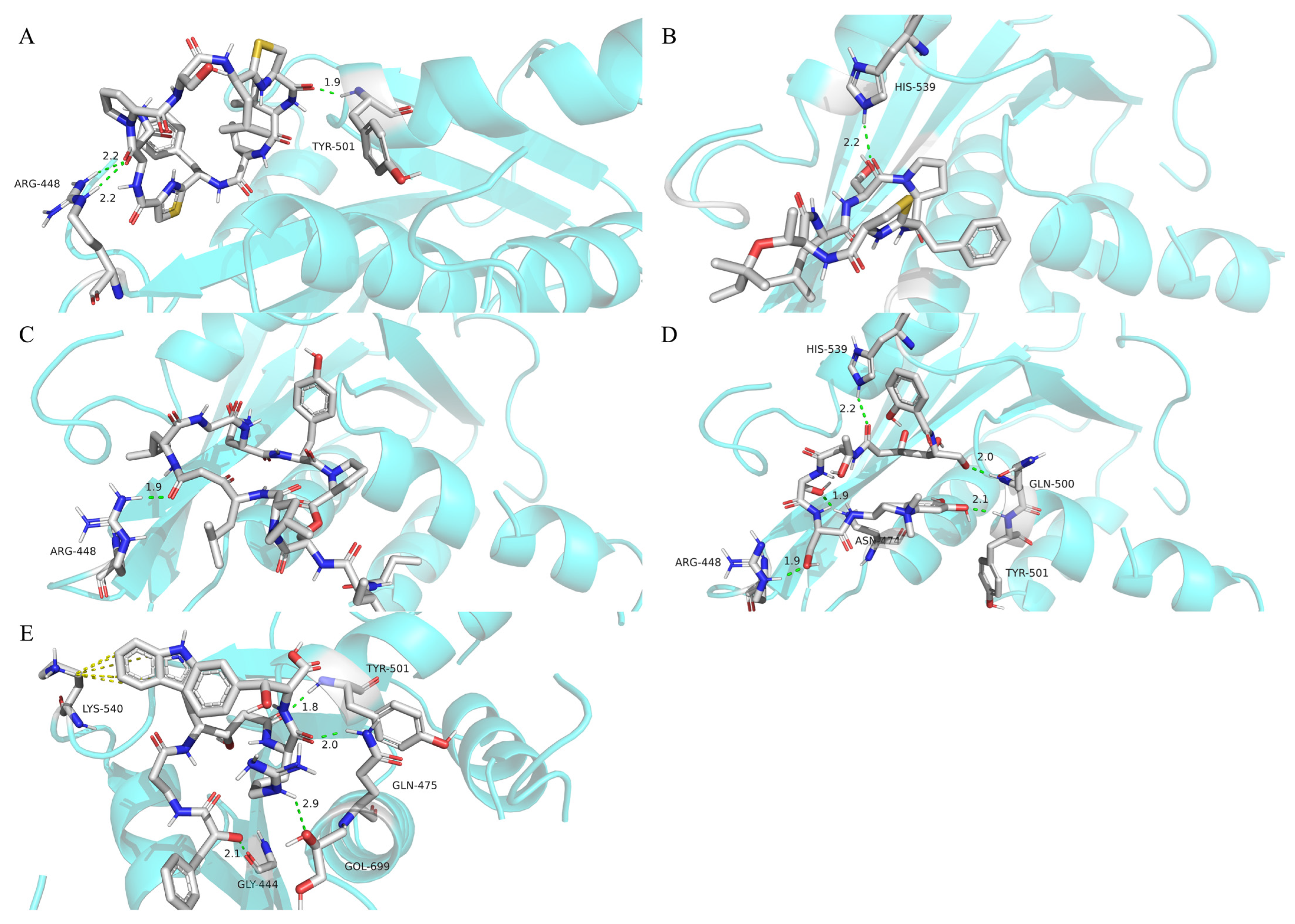 Marinedrugs 22 00501 g008