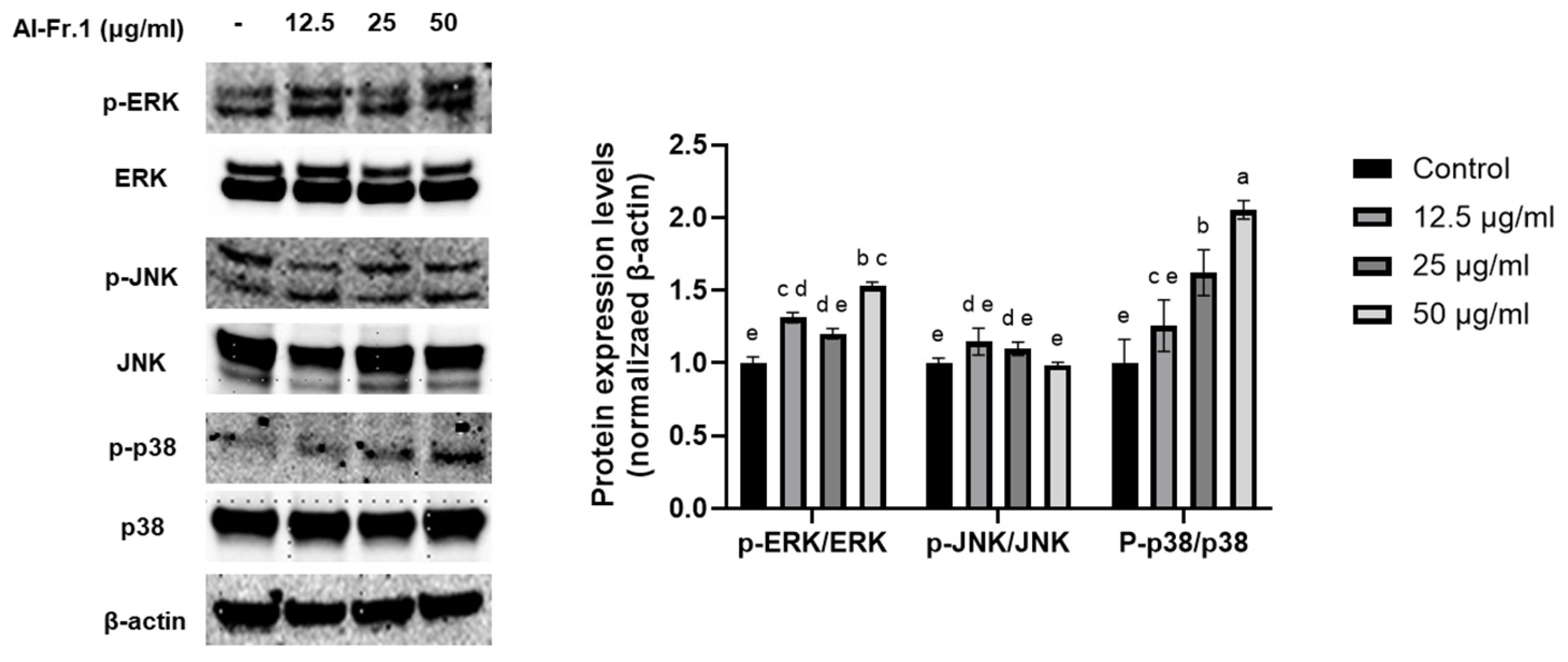 Marinedrugs 22 00503 g005