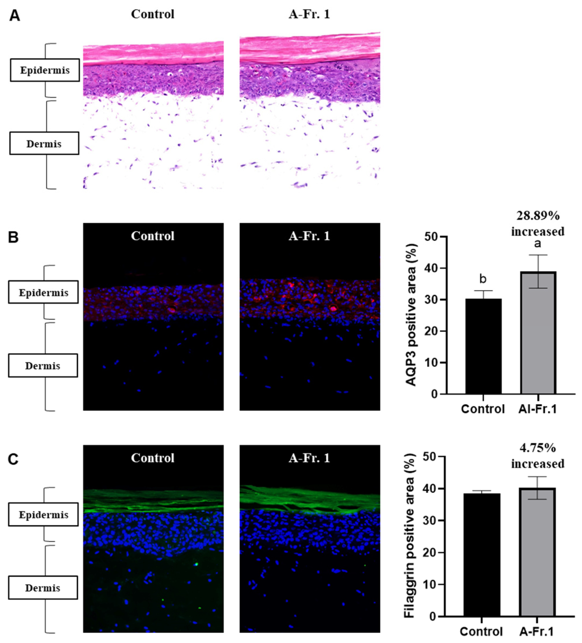 Marinedrugs 22 00503 g006
