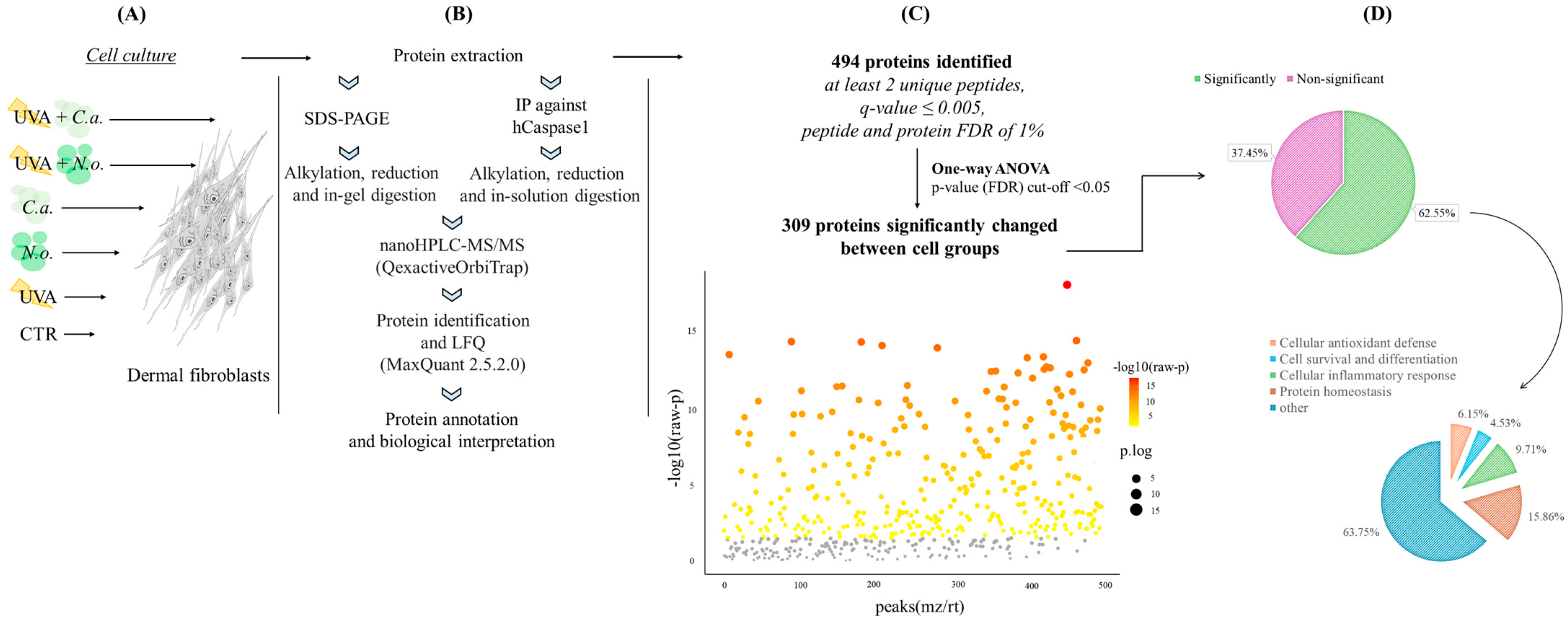 Marinedrugs 22 00509 g001