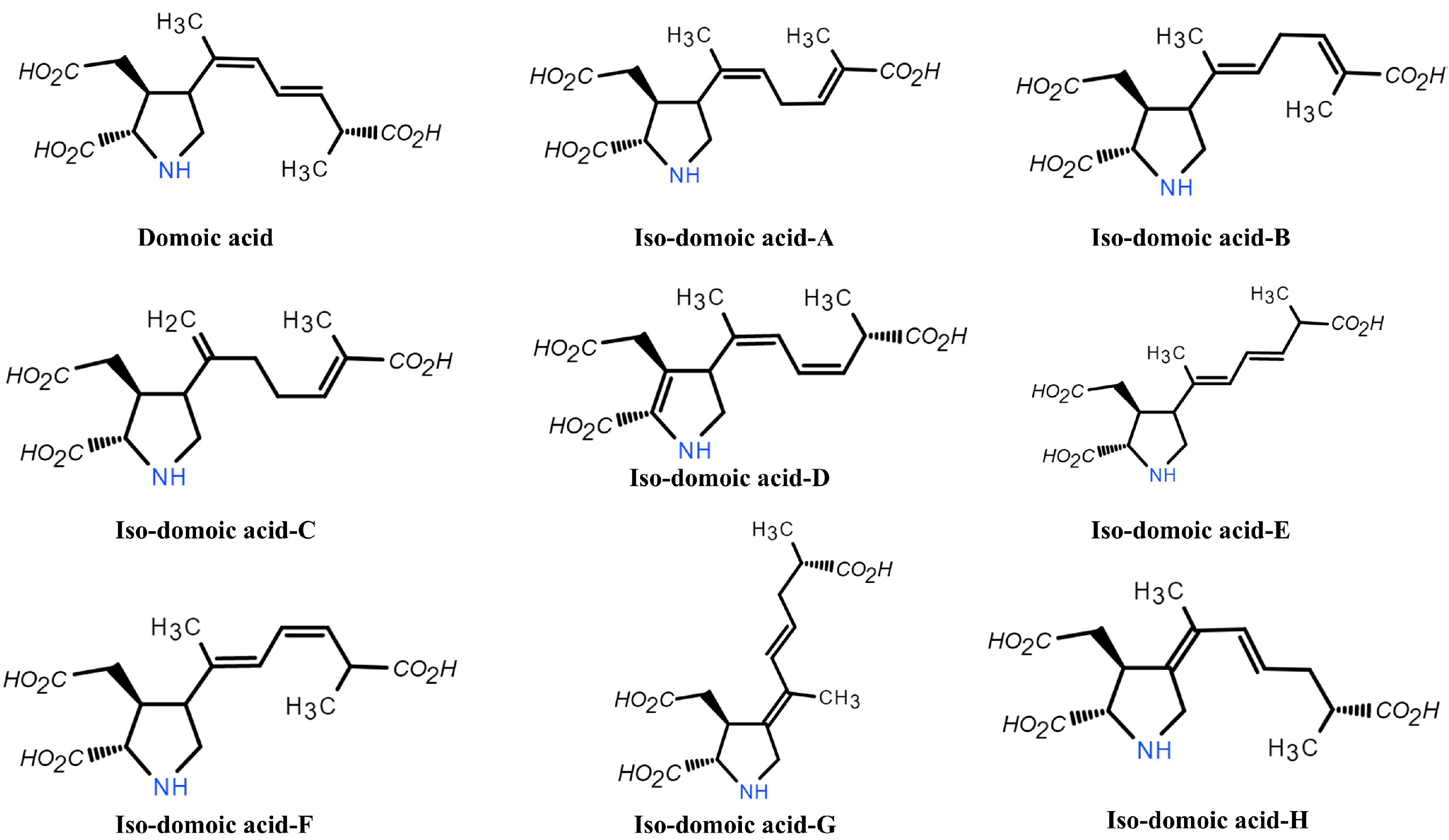 Marinedrugs 22 00510 g003 Marinedrugs 22 00510 g003