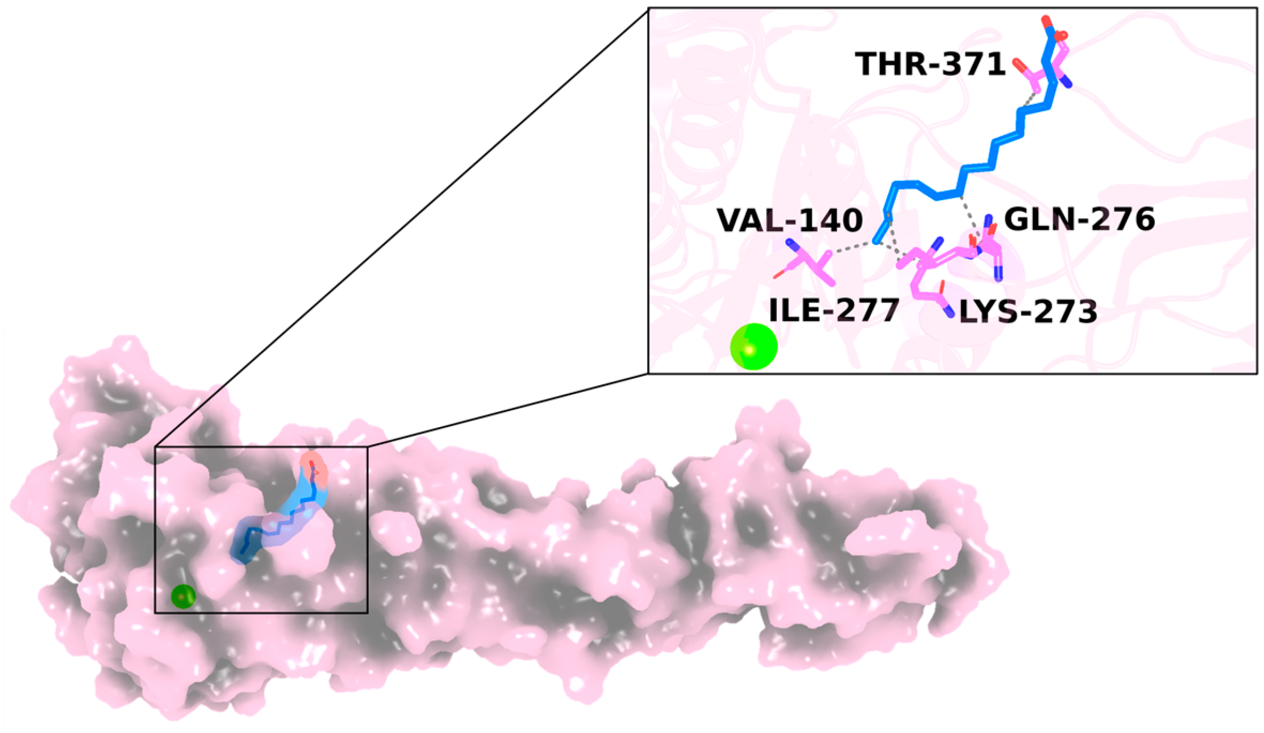 Marinedrugs 22 00511 g001 Marinedrugs 22 00511 g001
