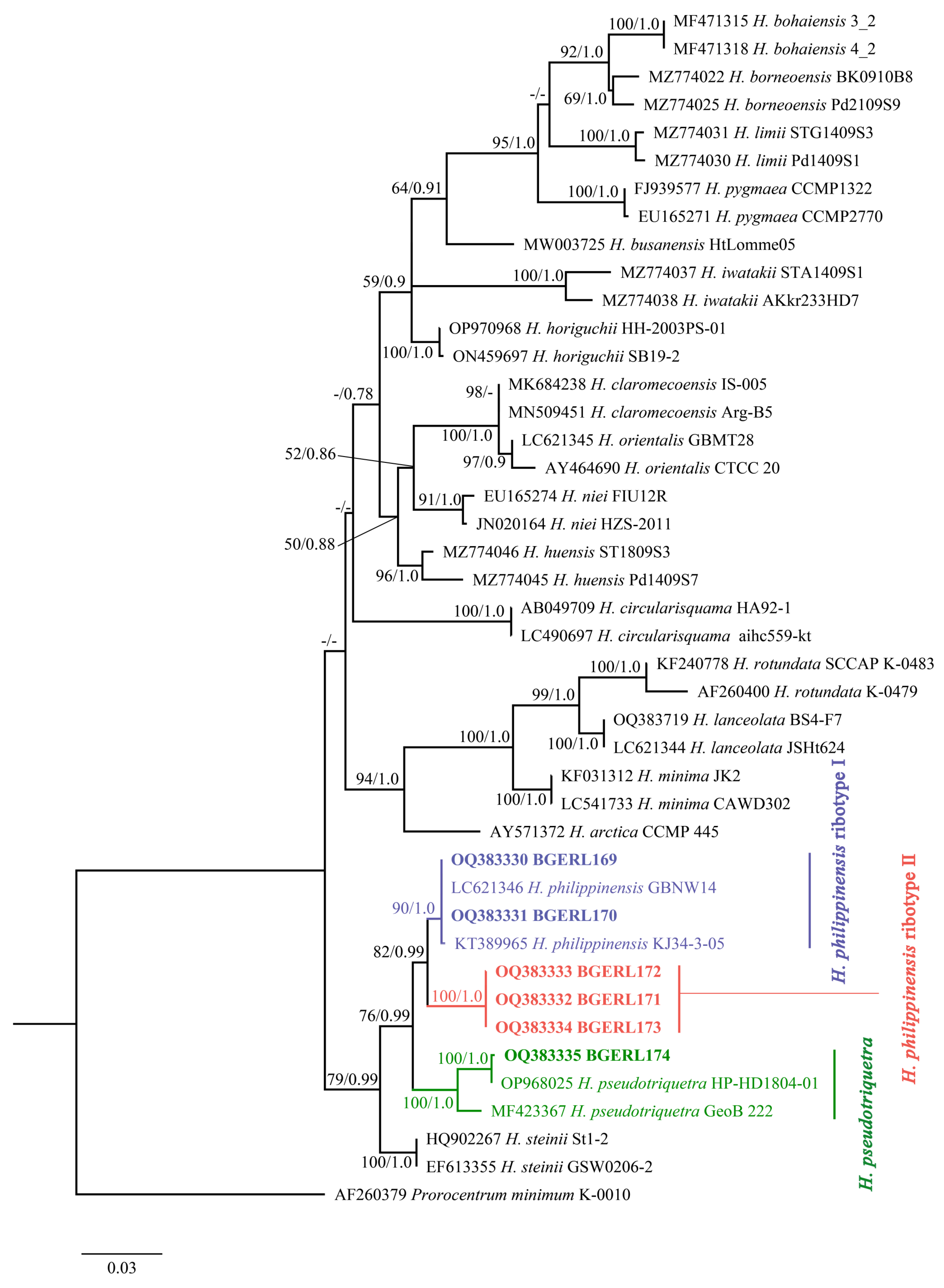 Marinedrugs 22 00514 g005