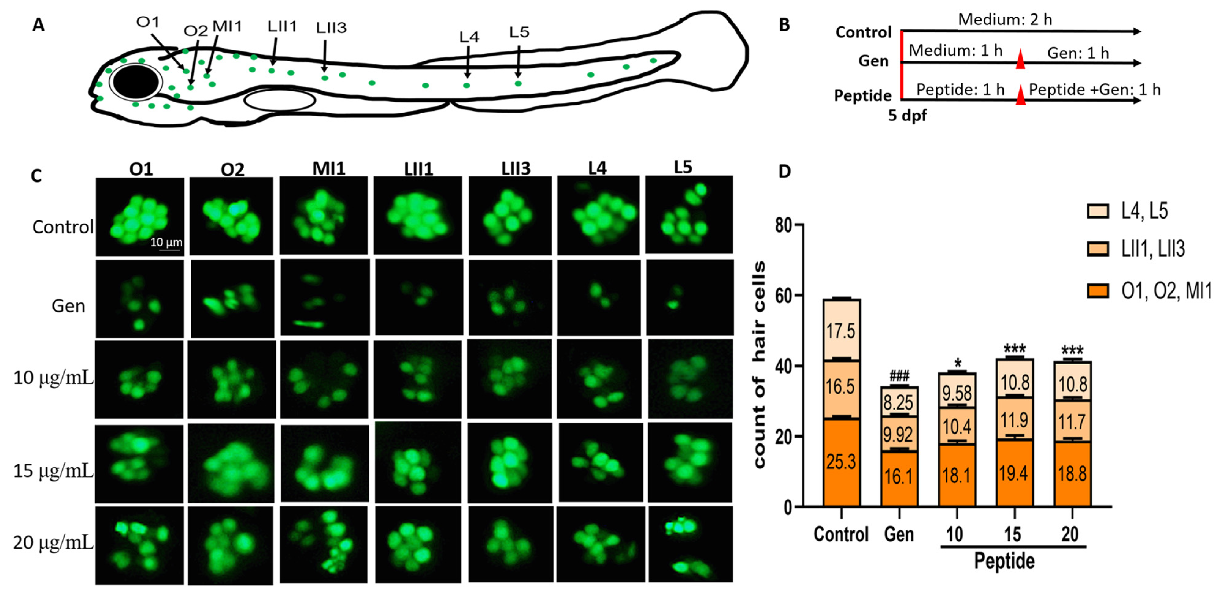 Marinedrugs 22 00519 g001