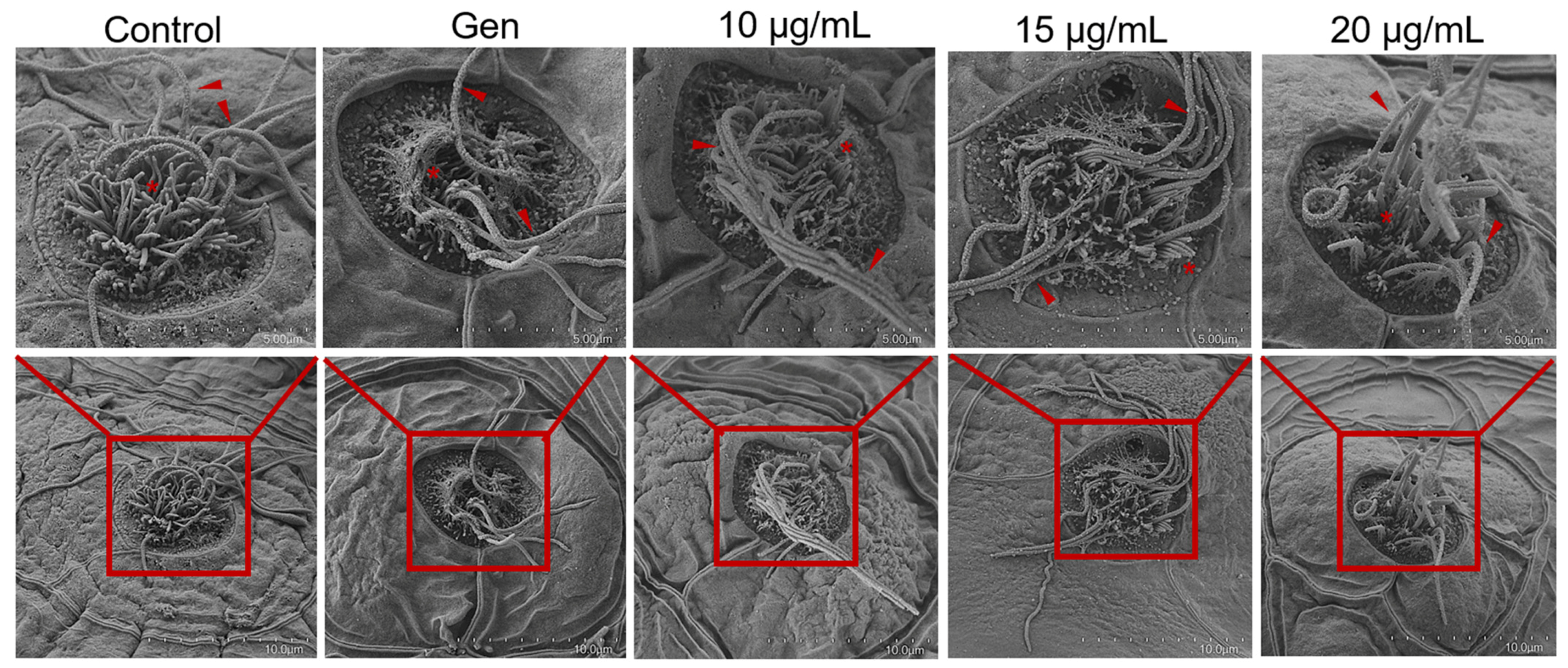 Marinedrugs 22 00519 g002