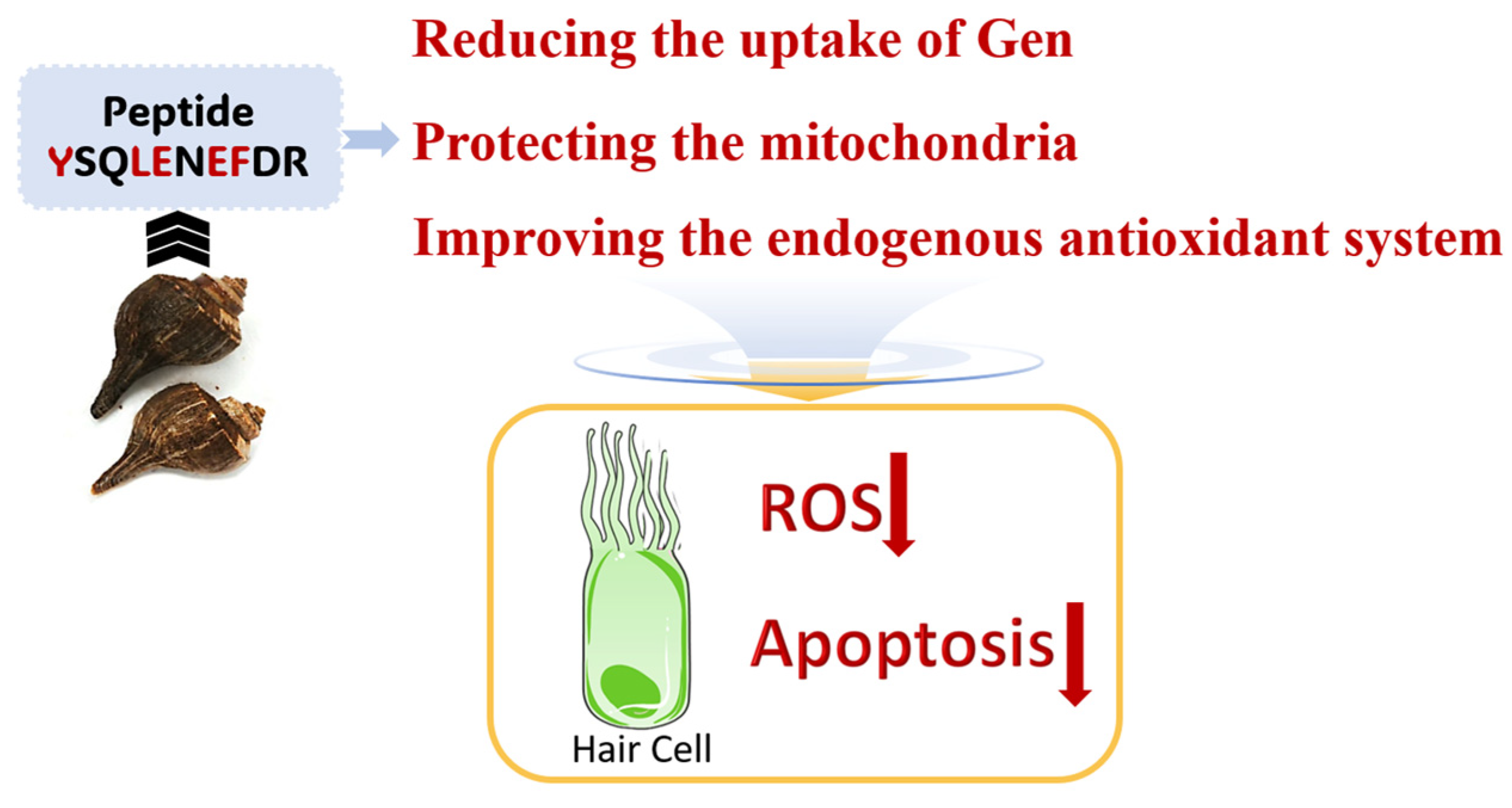 Marinedrugs 22 00519 g008