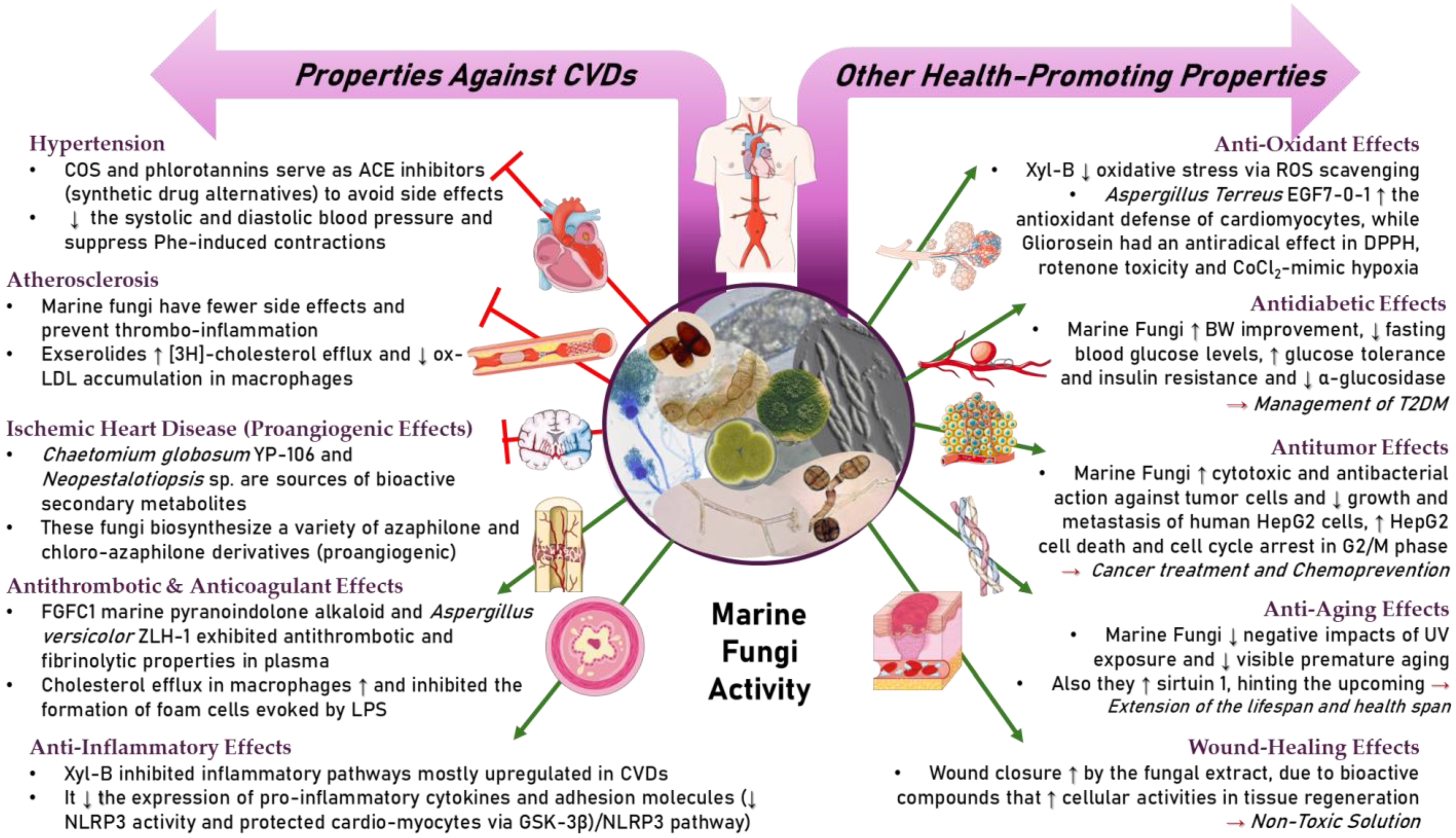 Marinedrugs 22 00520 g002