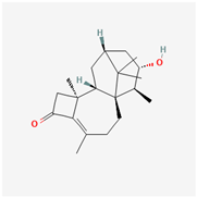 Marinedrugs 22 00520 i008