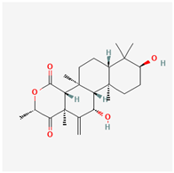 Marinedrugs 22 00520 i031