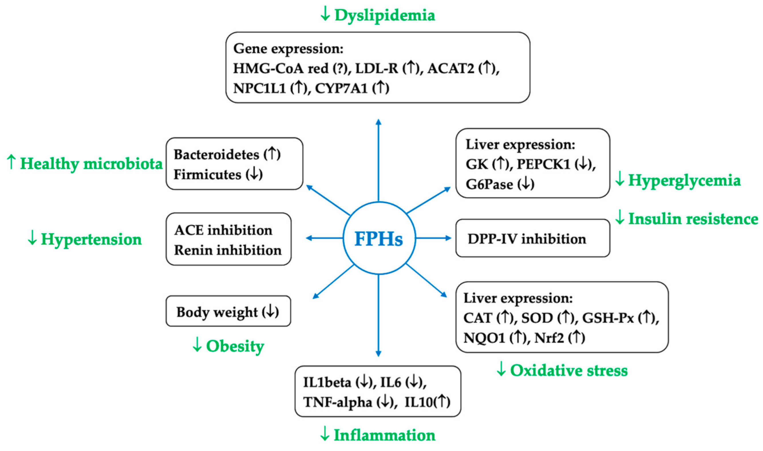 Marinedrugs 22 00523 g002