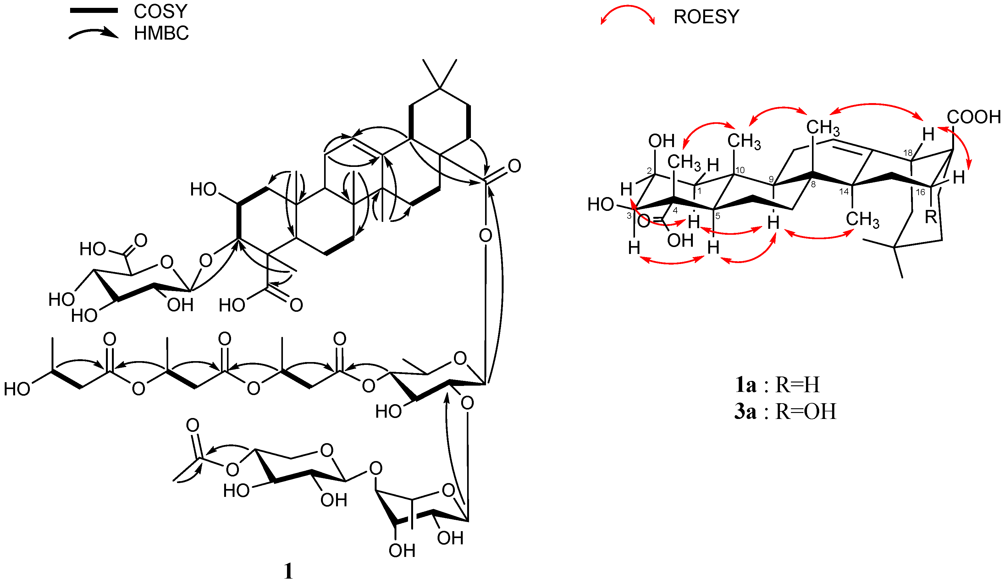Marinedrugs 22 00524 g002