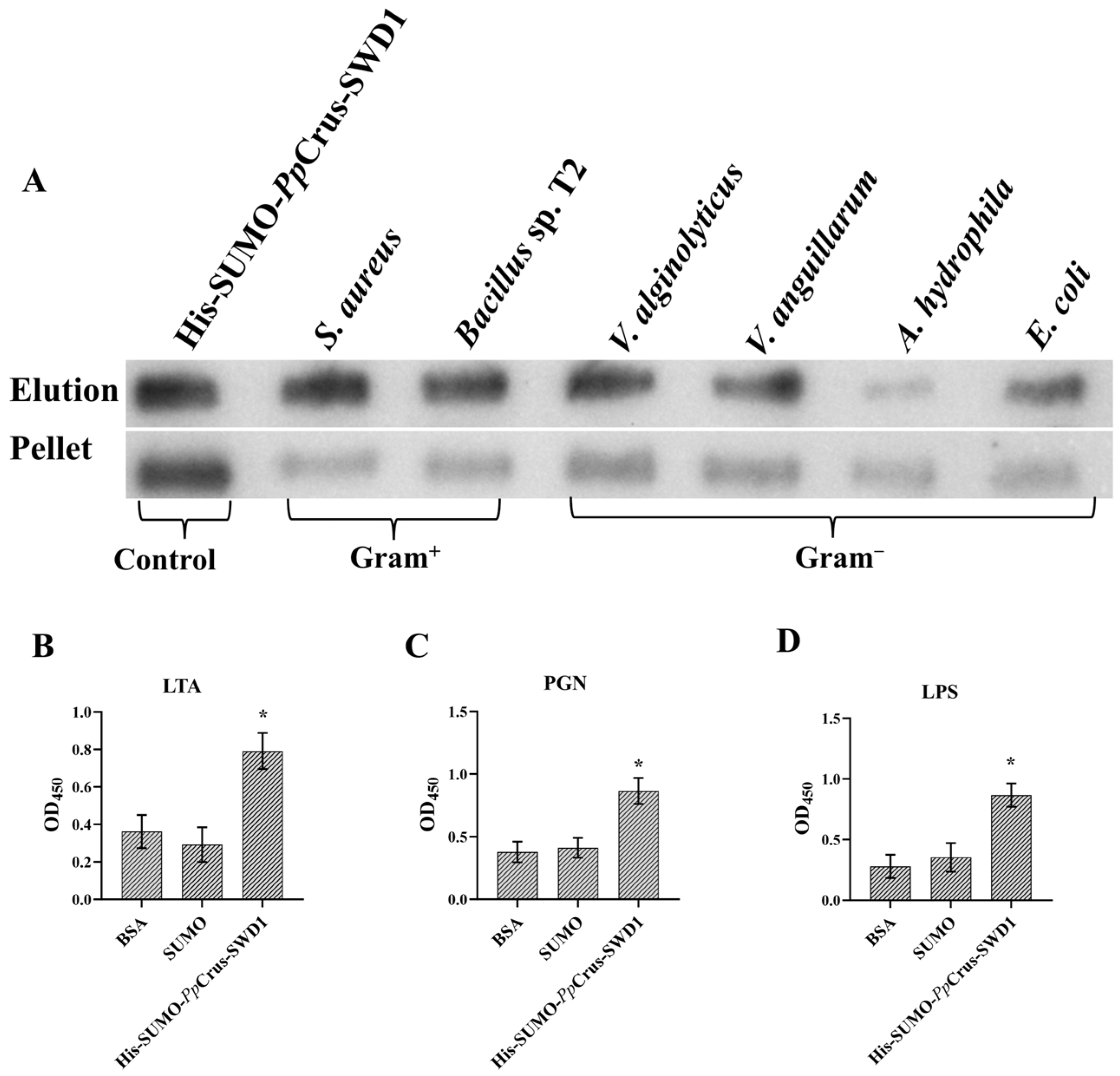 Marinedrugs 22 00526 g005