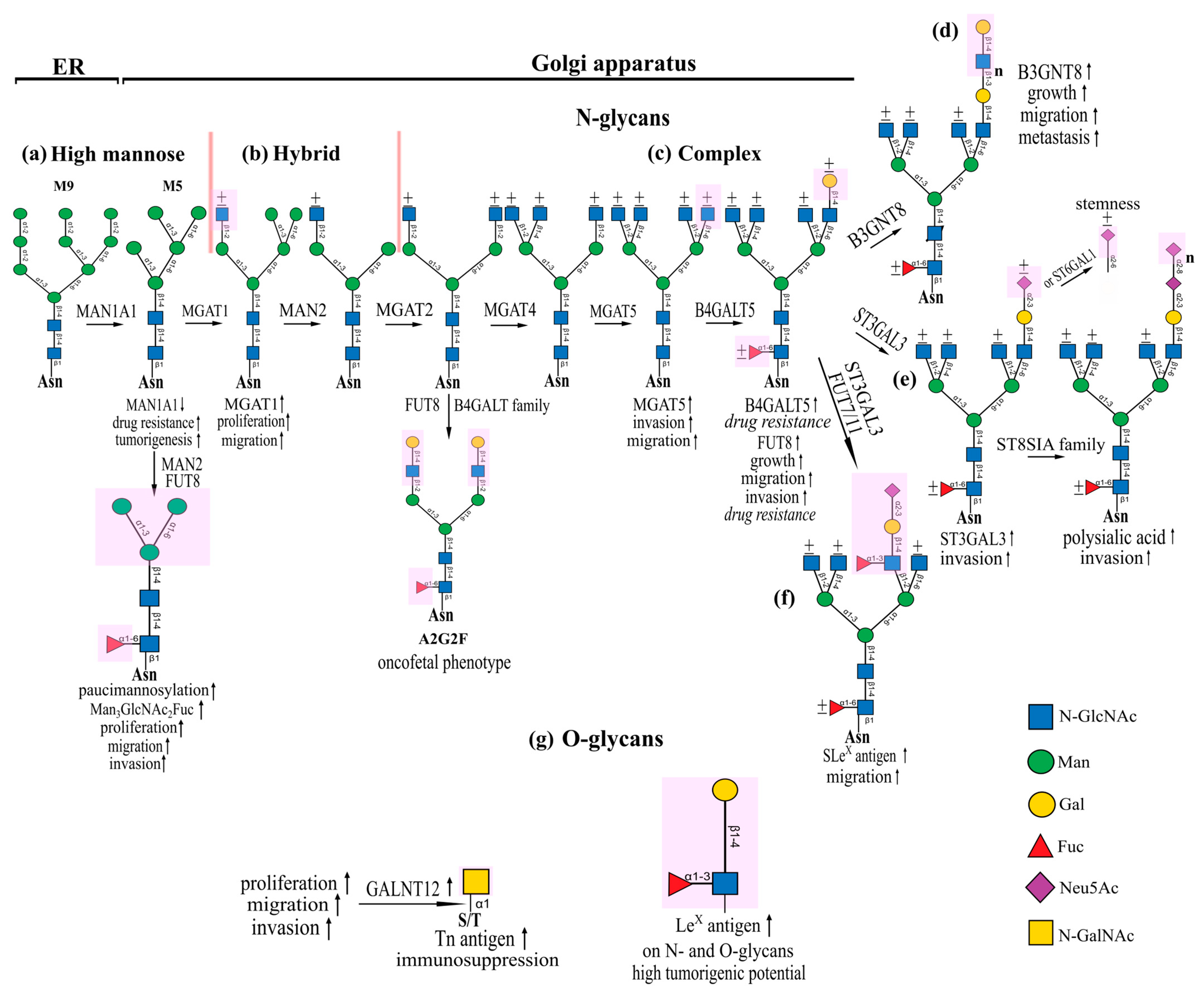 Marinedrugs 22 00527 g001
