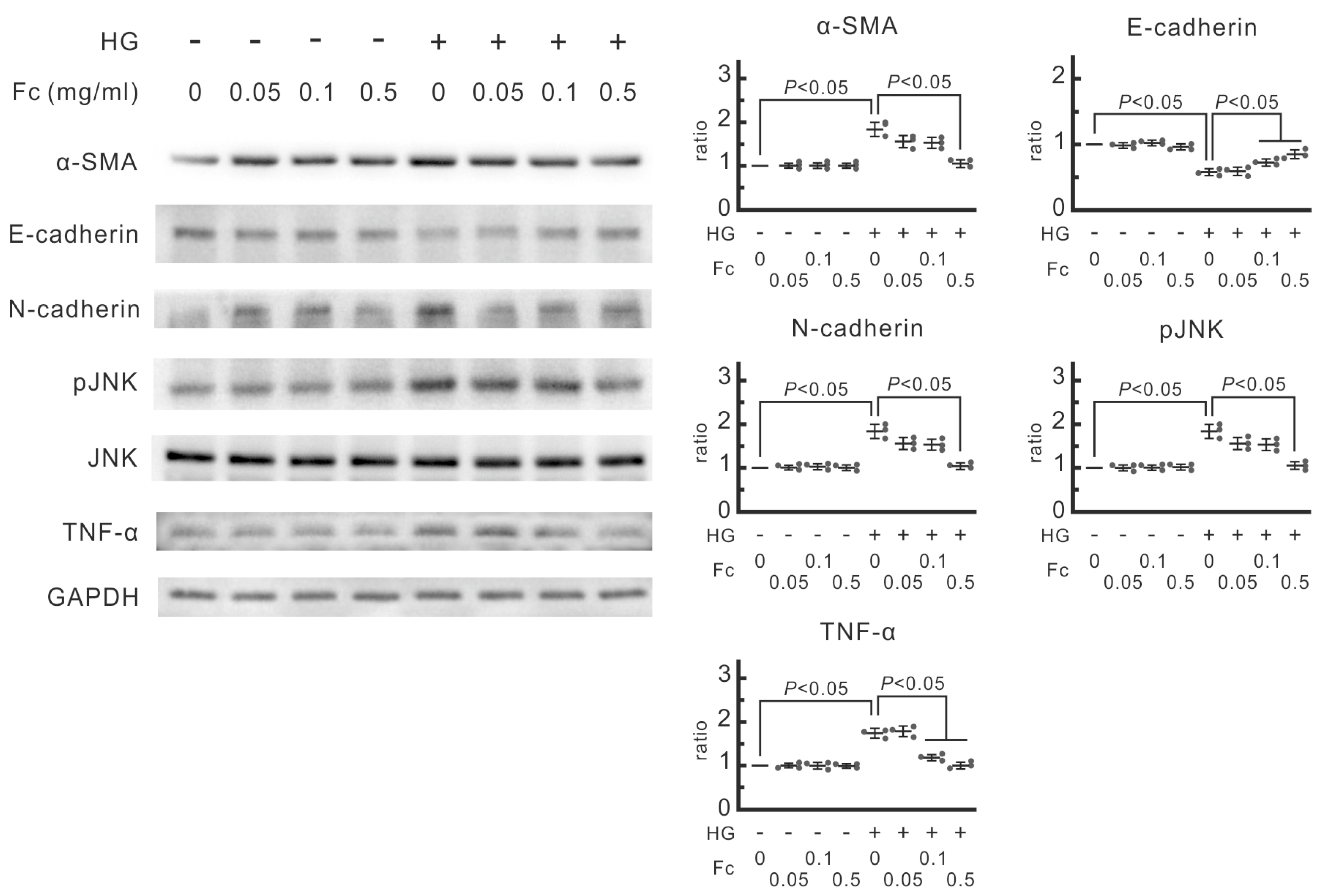 Marinedrugs 22 00529 g001