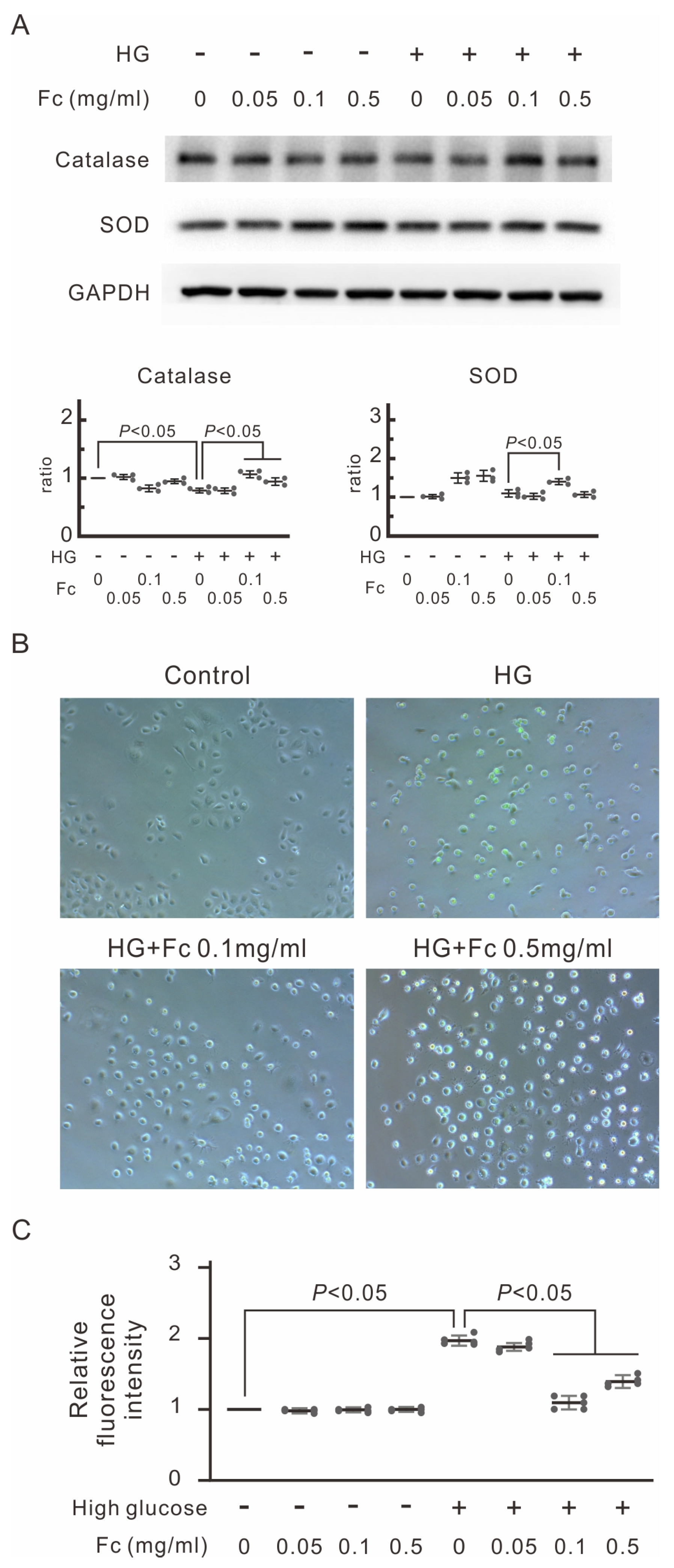 Marinedrugs 22 00529 g003