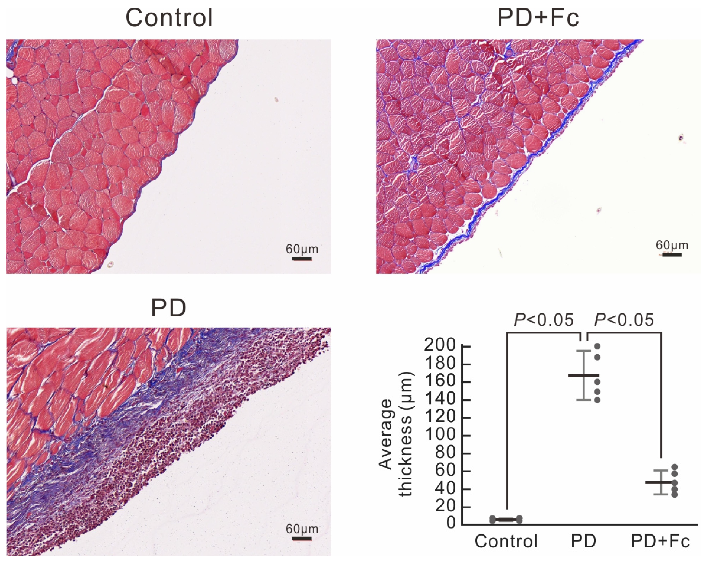 Marinedrugs 22 00529 g004