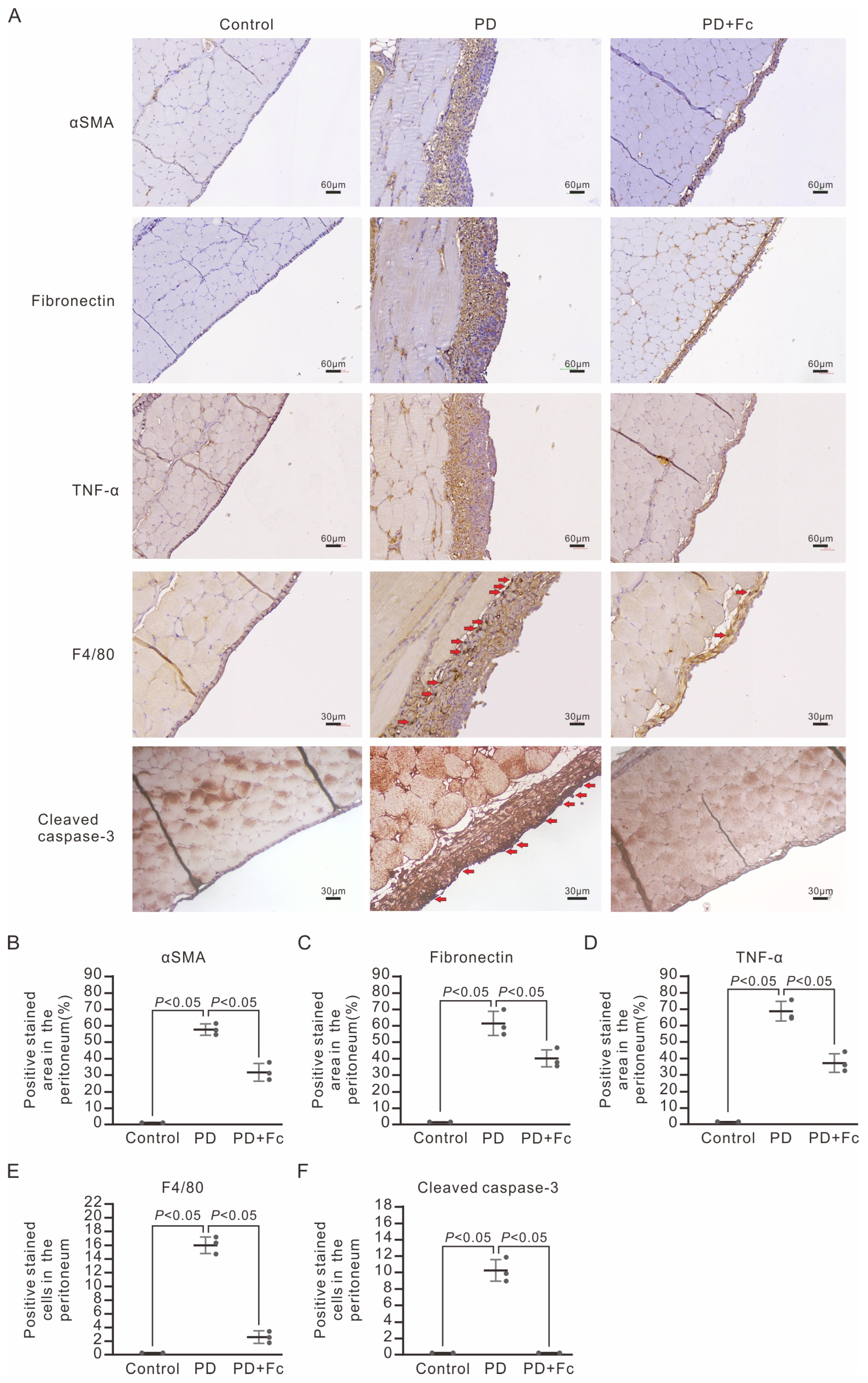 Marinedrugs 22 00529 g005