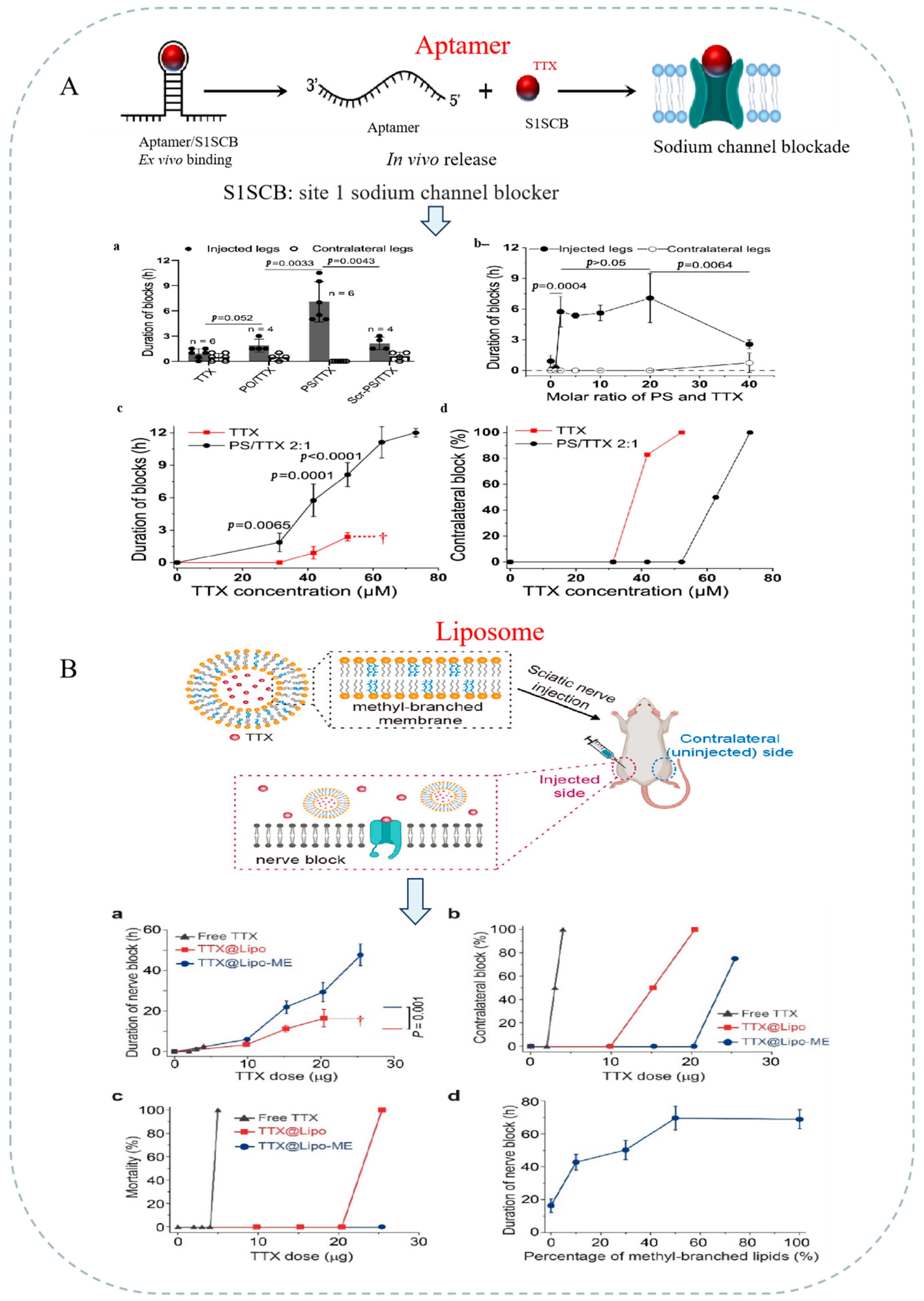 Marinedrugs 22 00531 g003a Marinedrugs 22 00531 g003a