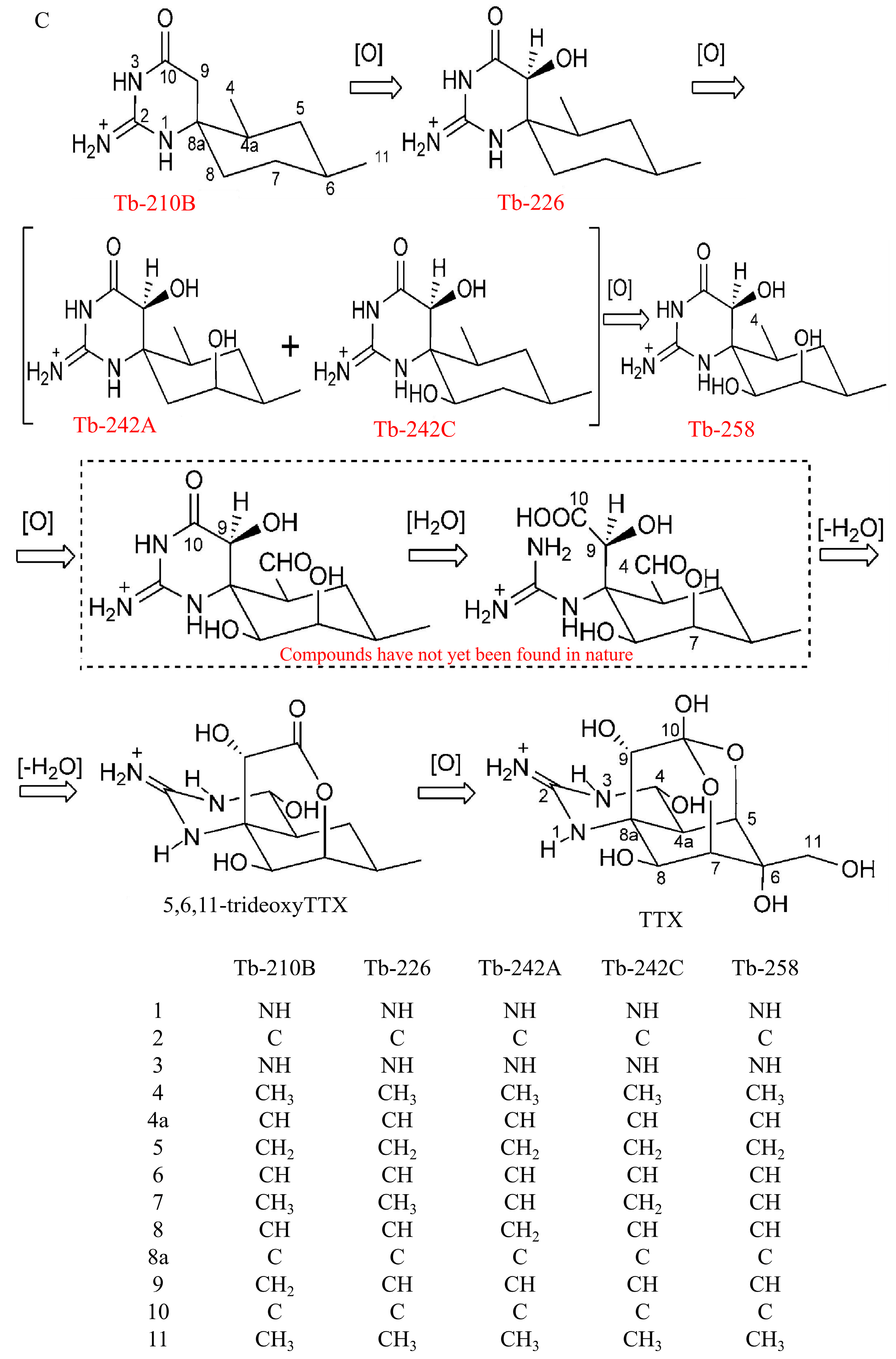 Marinedrugs 22 00531 g004b Marinedrugs 22 00531 g004b
