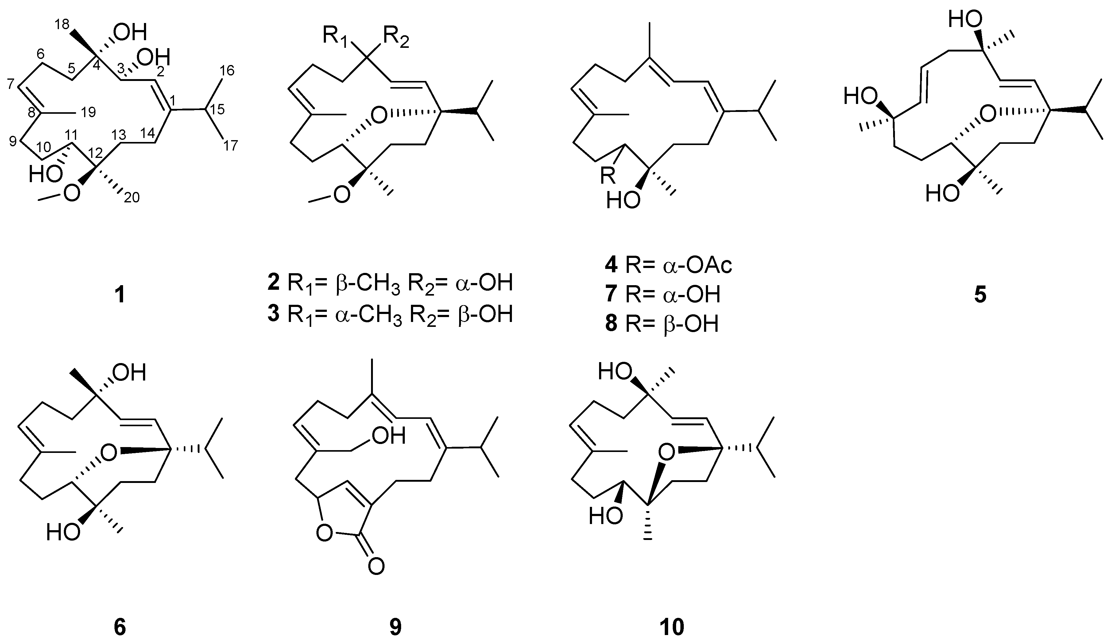 Marinedrugs 22 00536 g001