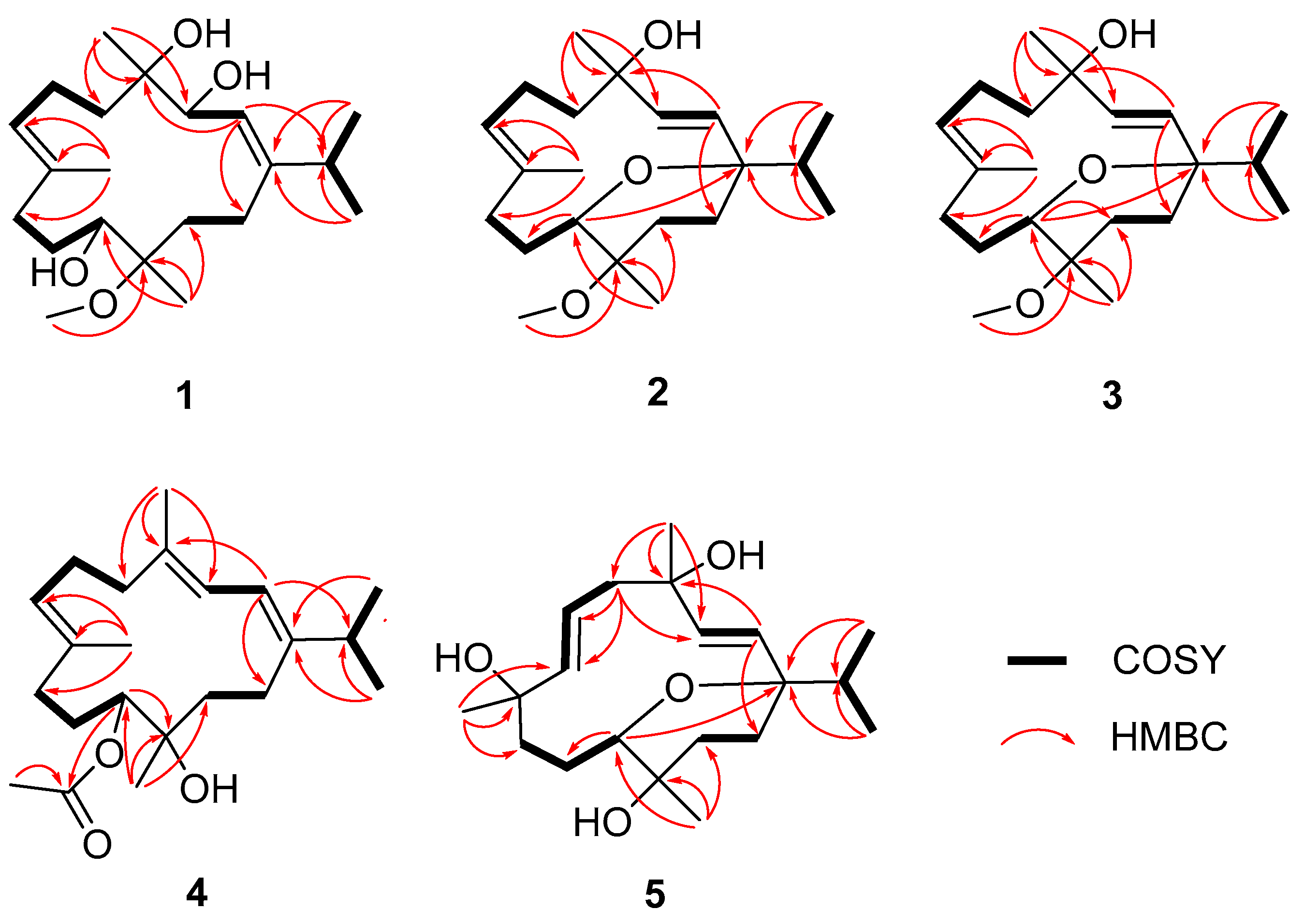Marinedrugs 22 00536 g002