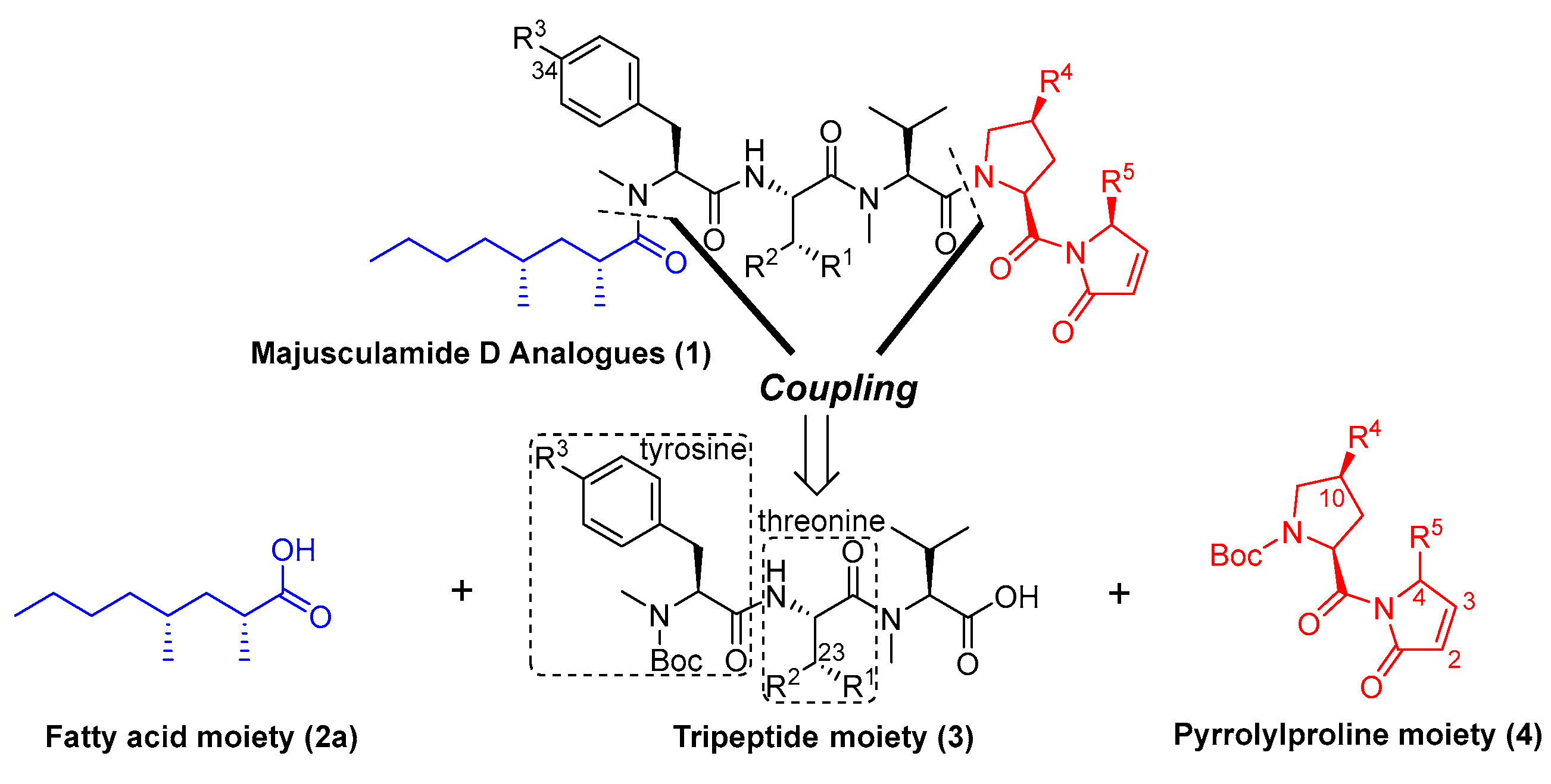 Marinedrugs 22 00537 sch001