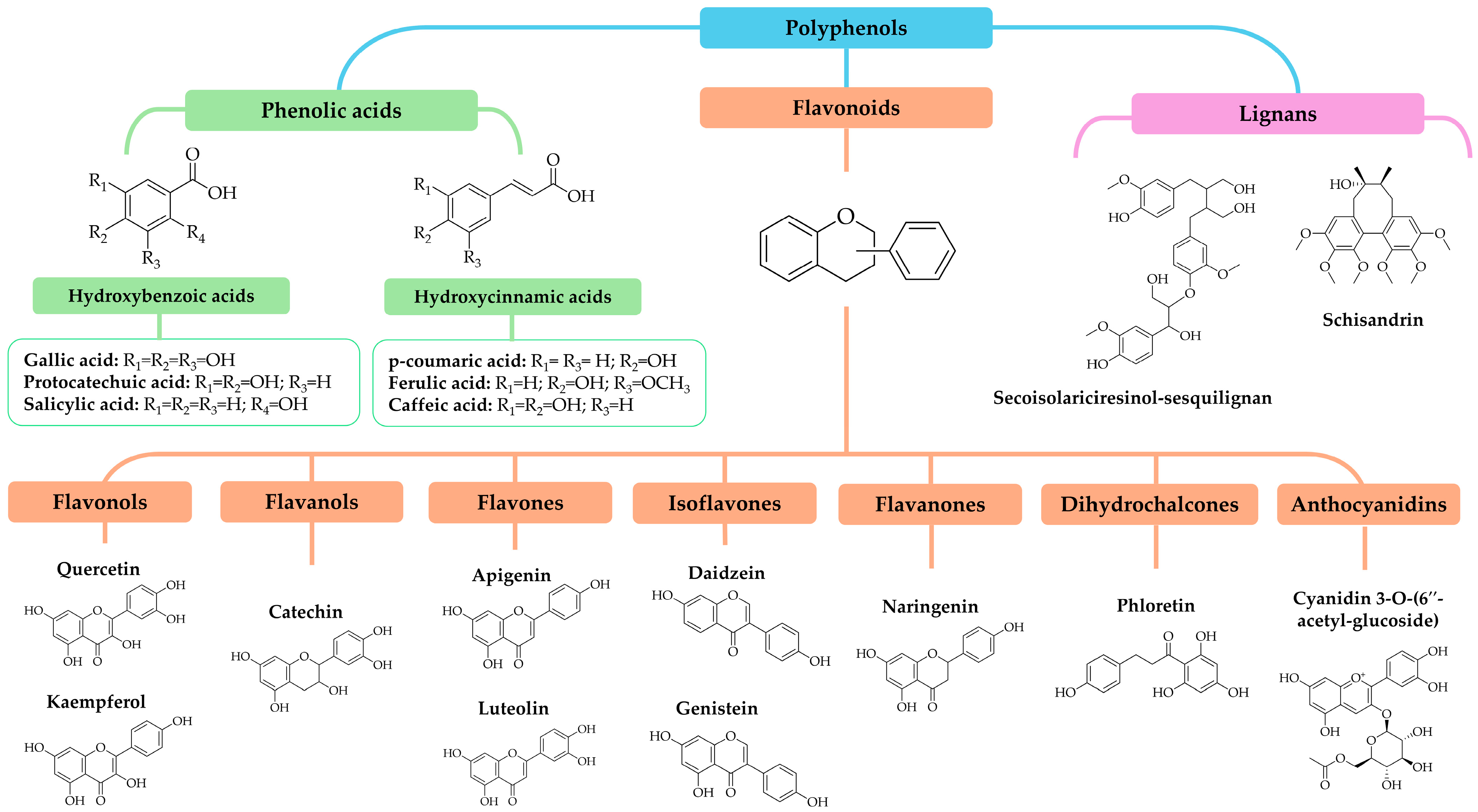 Marinedrugs 22 00538 g001