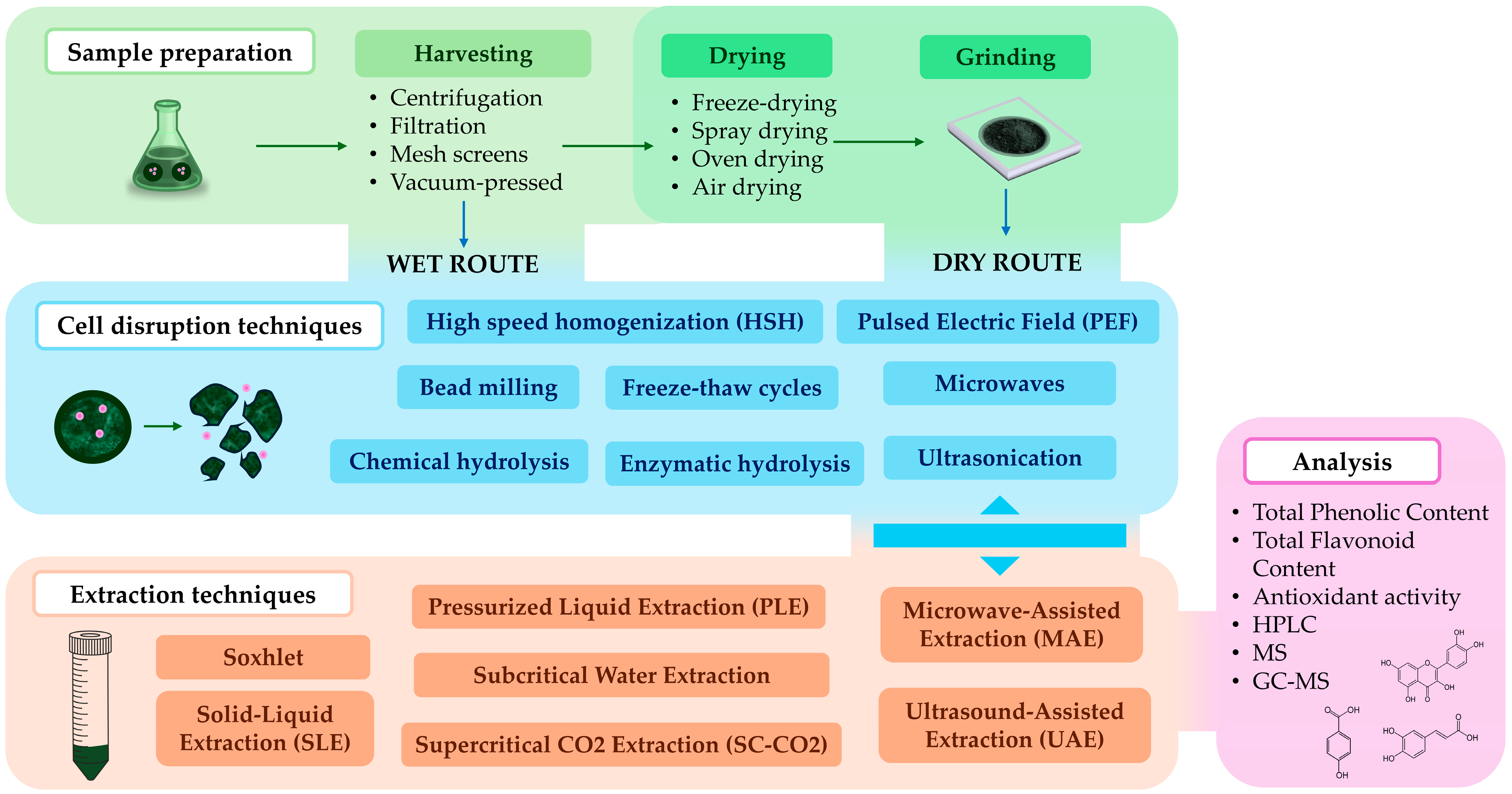 Marinedrugs 22 00538 g002