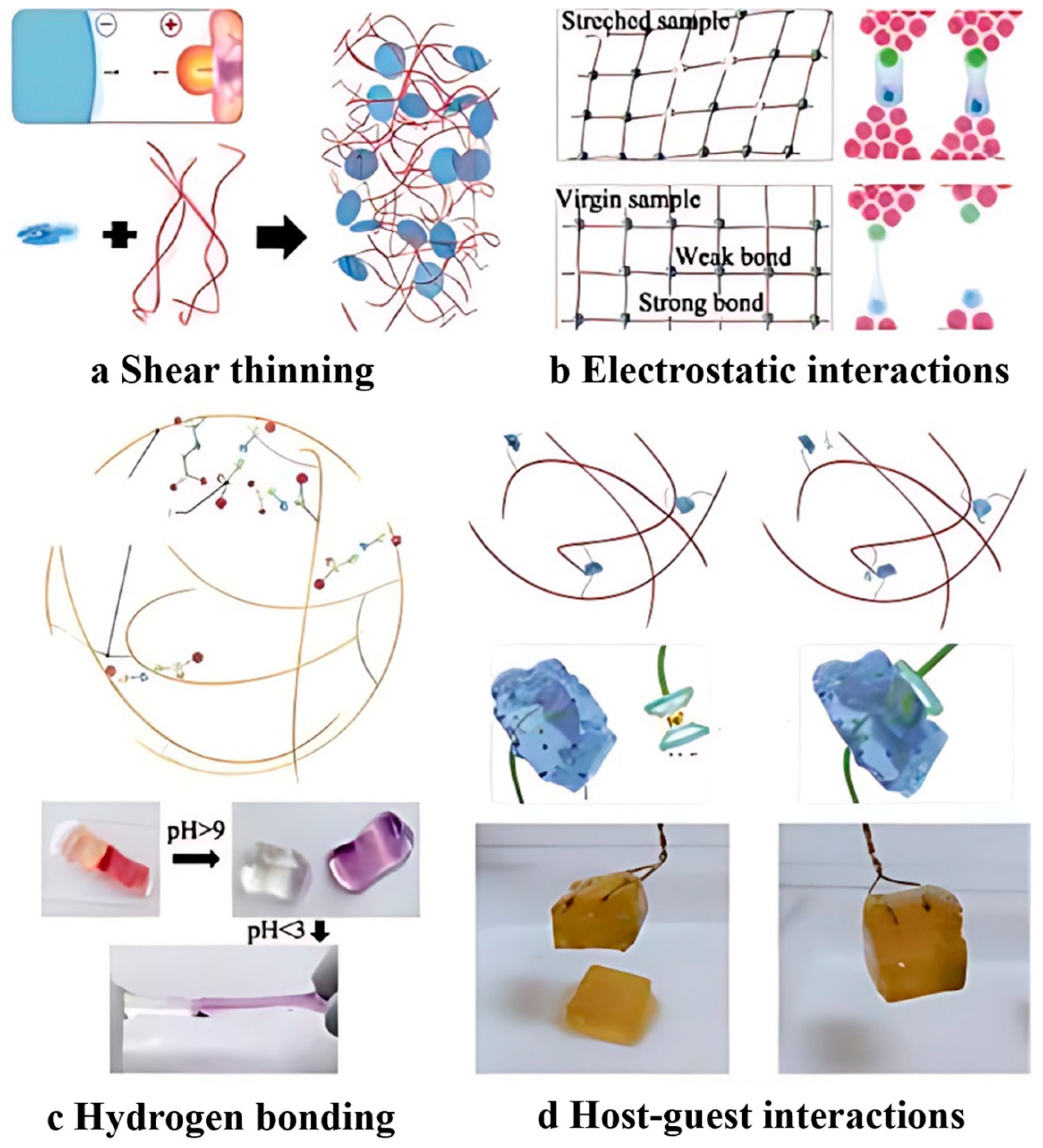 Marinedrugs 22 00546 g006