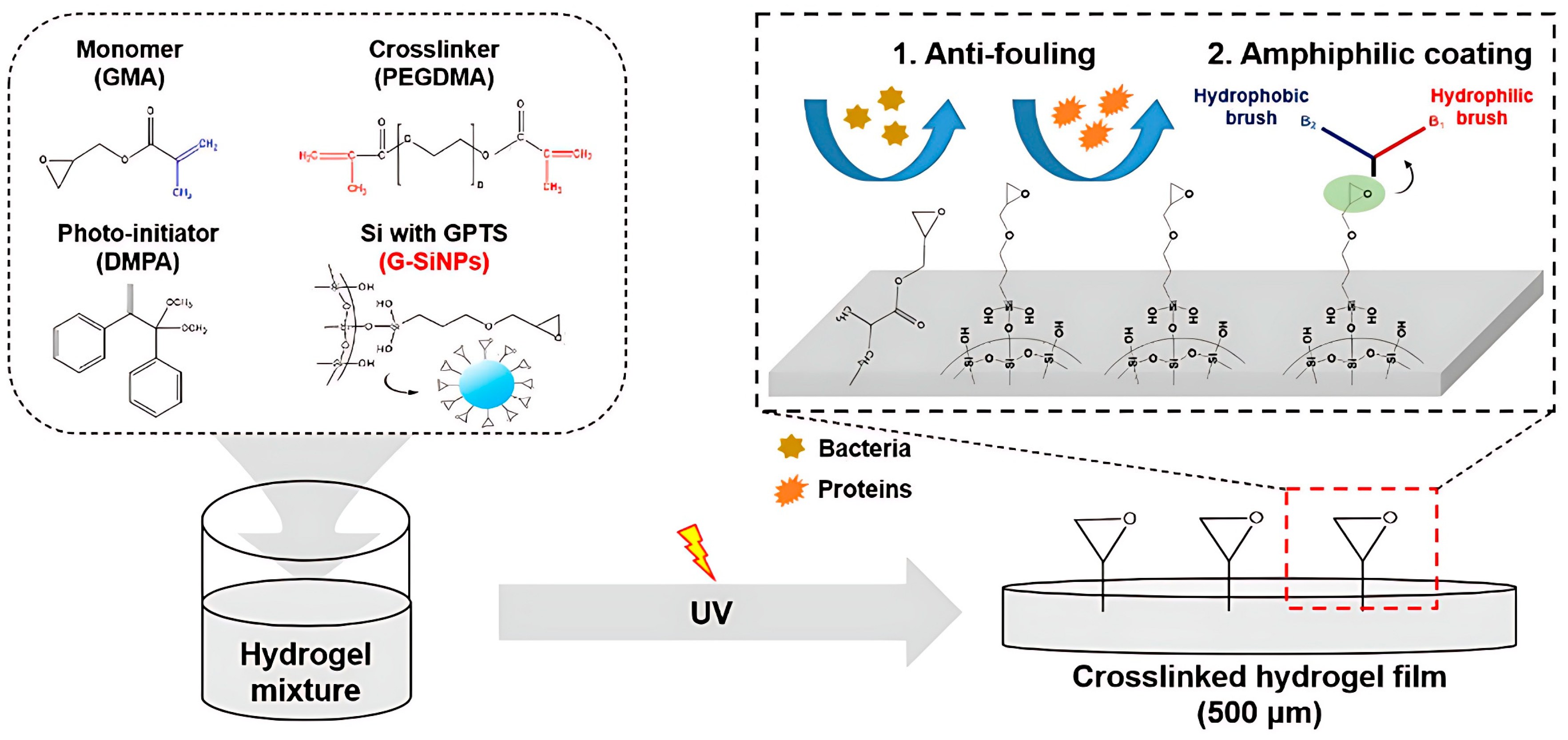 Marinedrugs 22 00546 g010