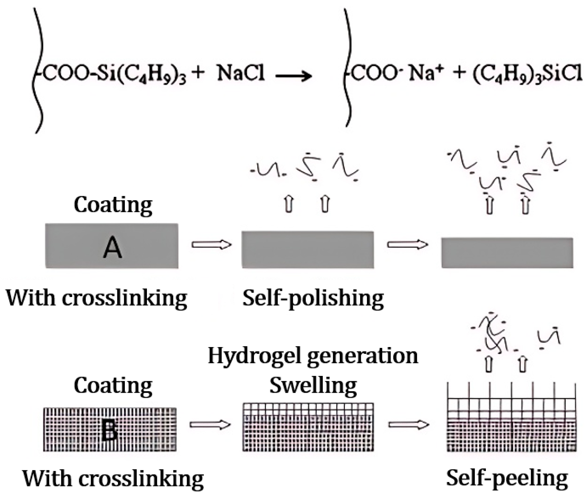 Marinedrugs 22 00546 g014